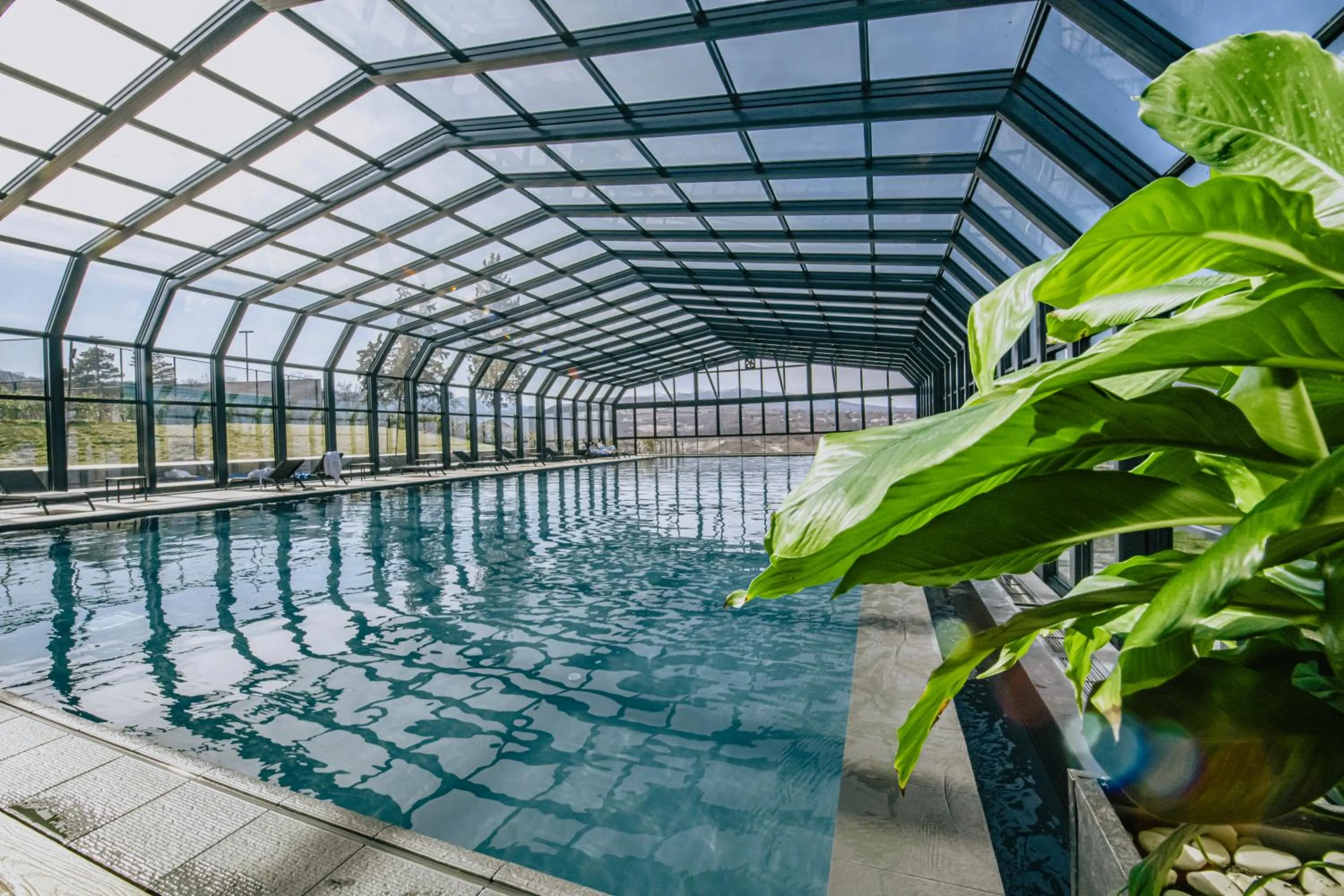 Neighbourhood in Park Hotel Tsinandali Estate