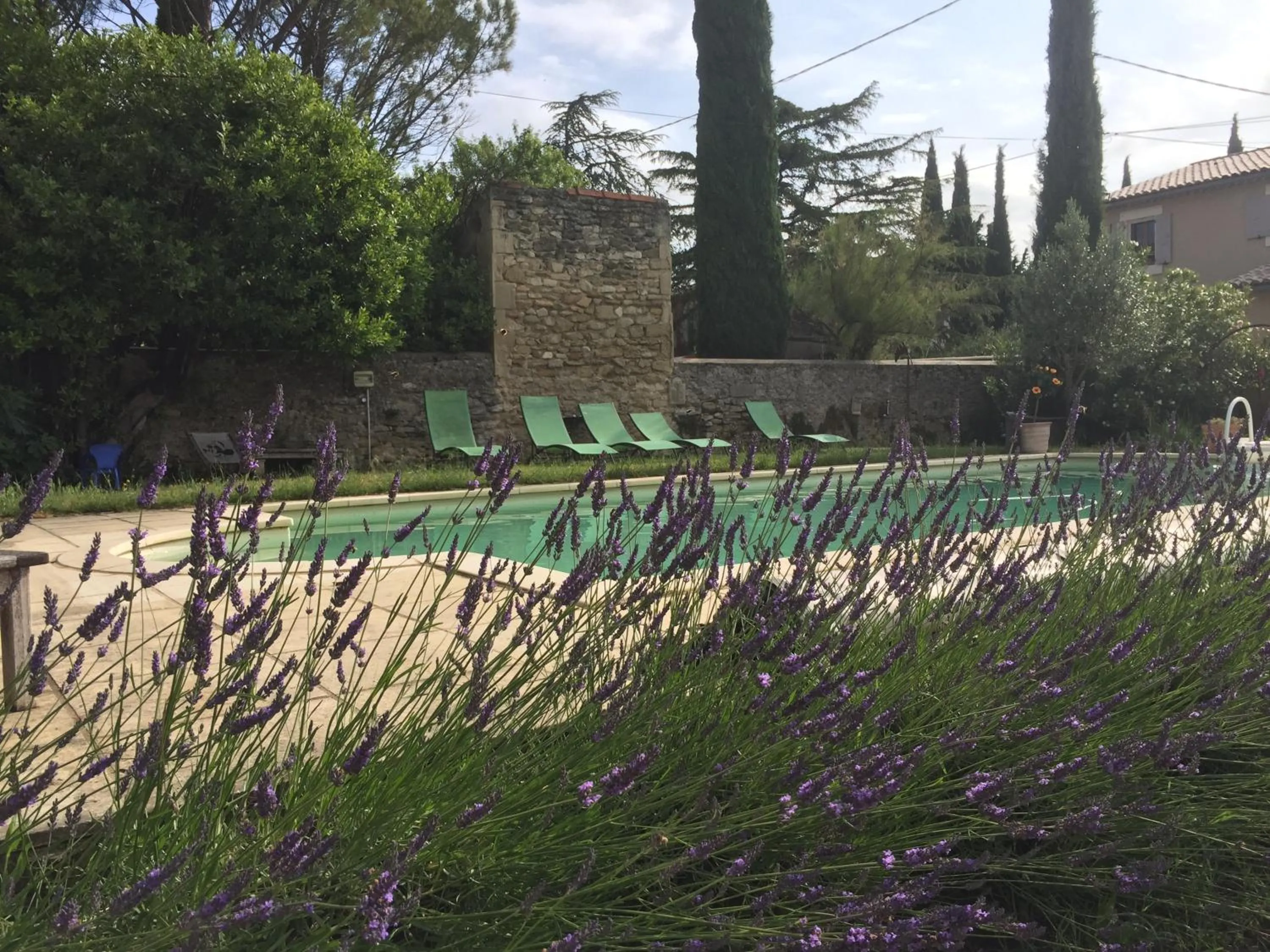 Garden in Le Petit Jeu Grignan