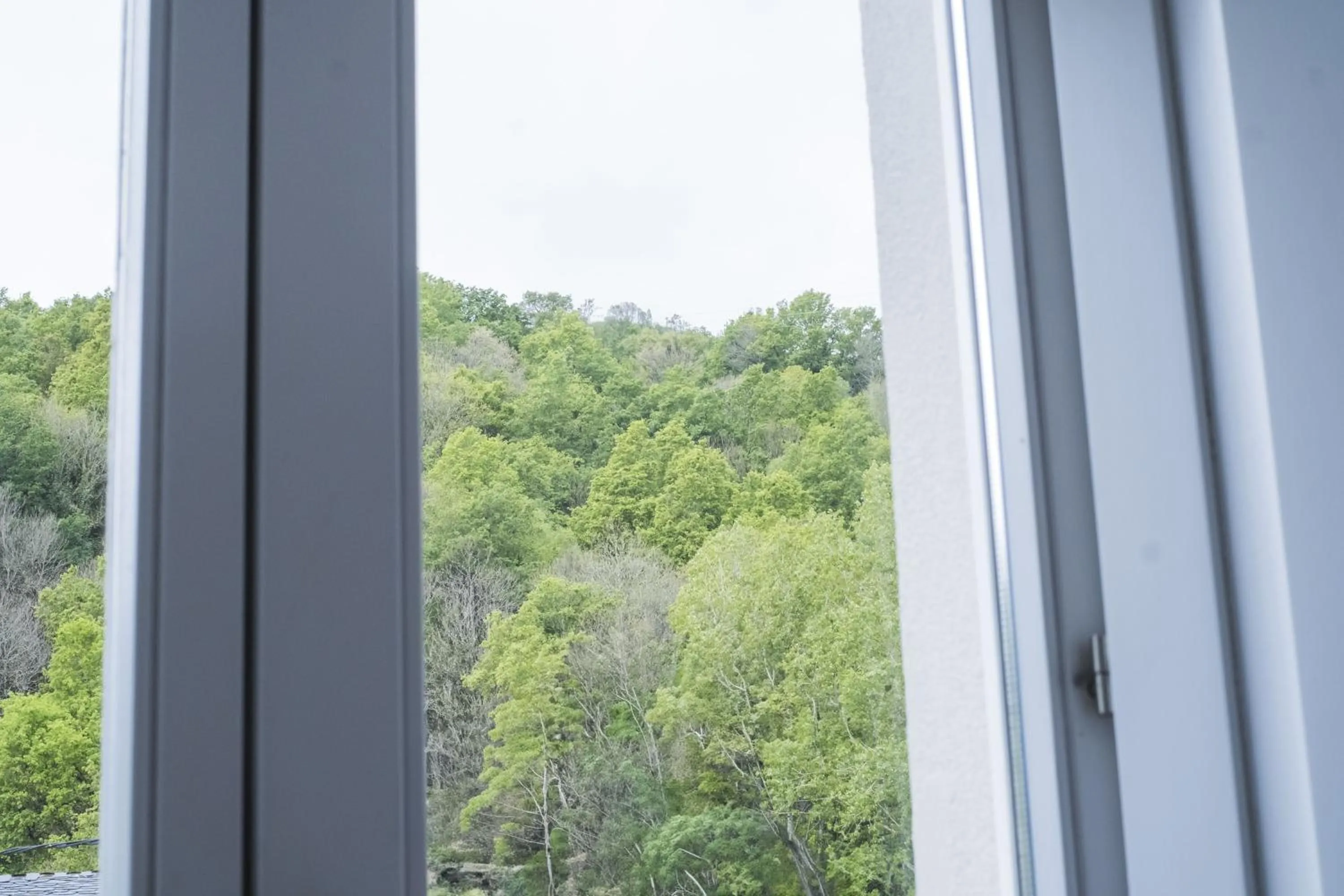 View (from property/room) in Hotel Alda Triacastela