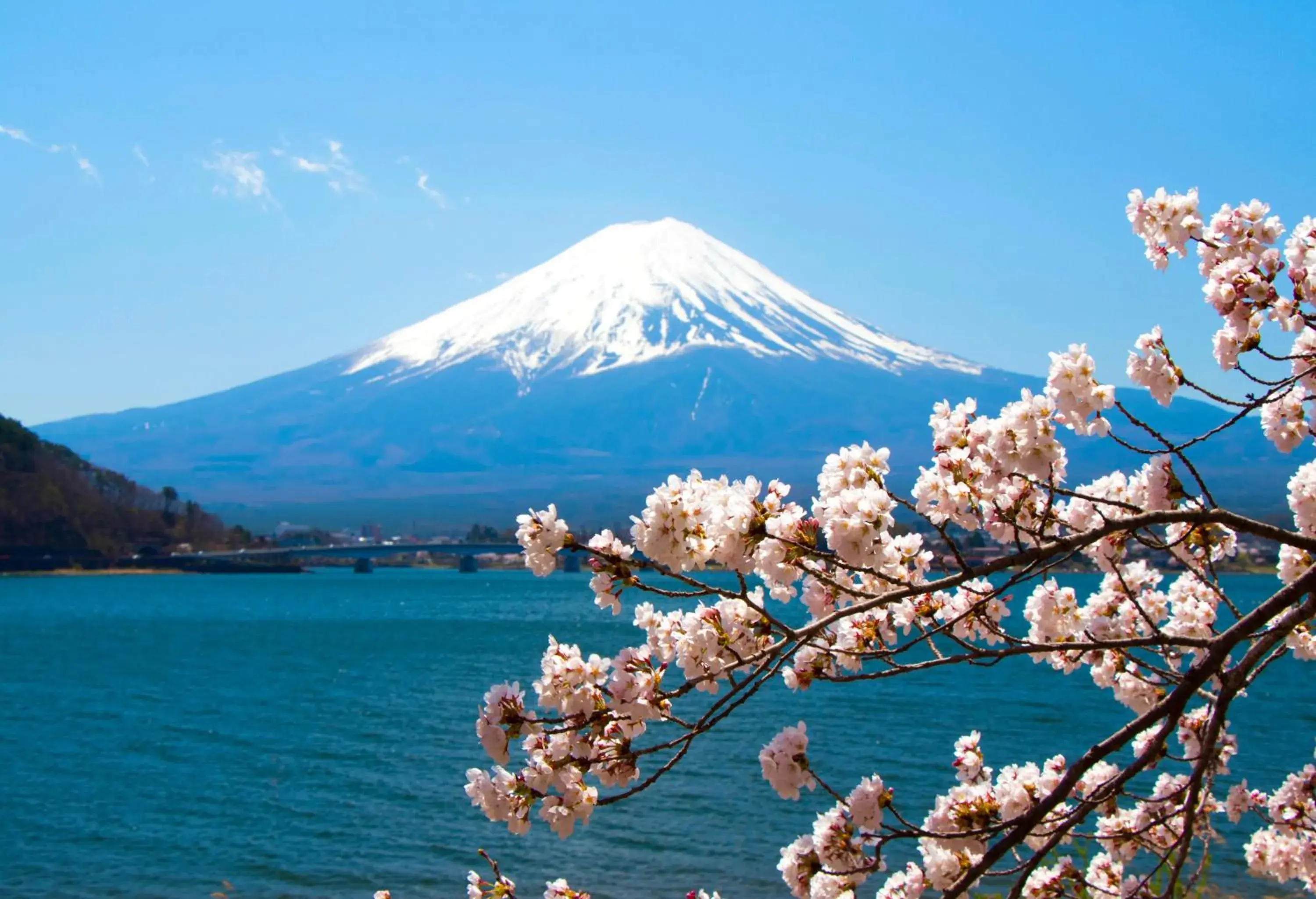 Erable Mt.Fuji "Zen" Erable Mt.Fuji "Zen"