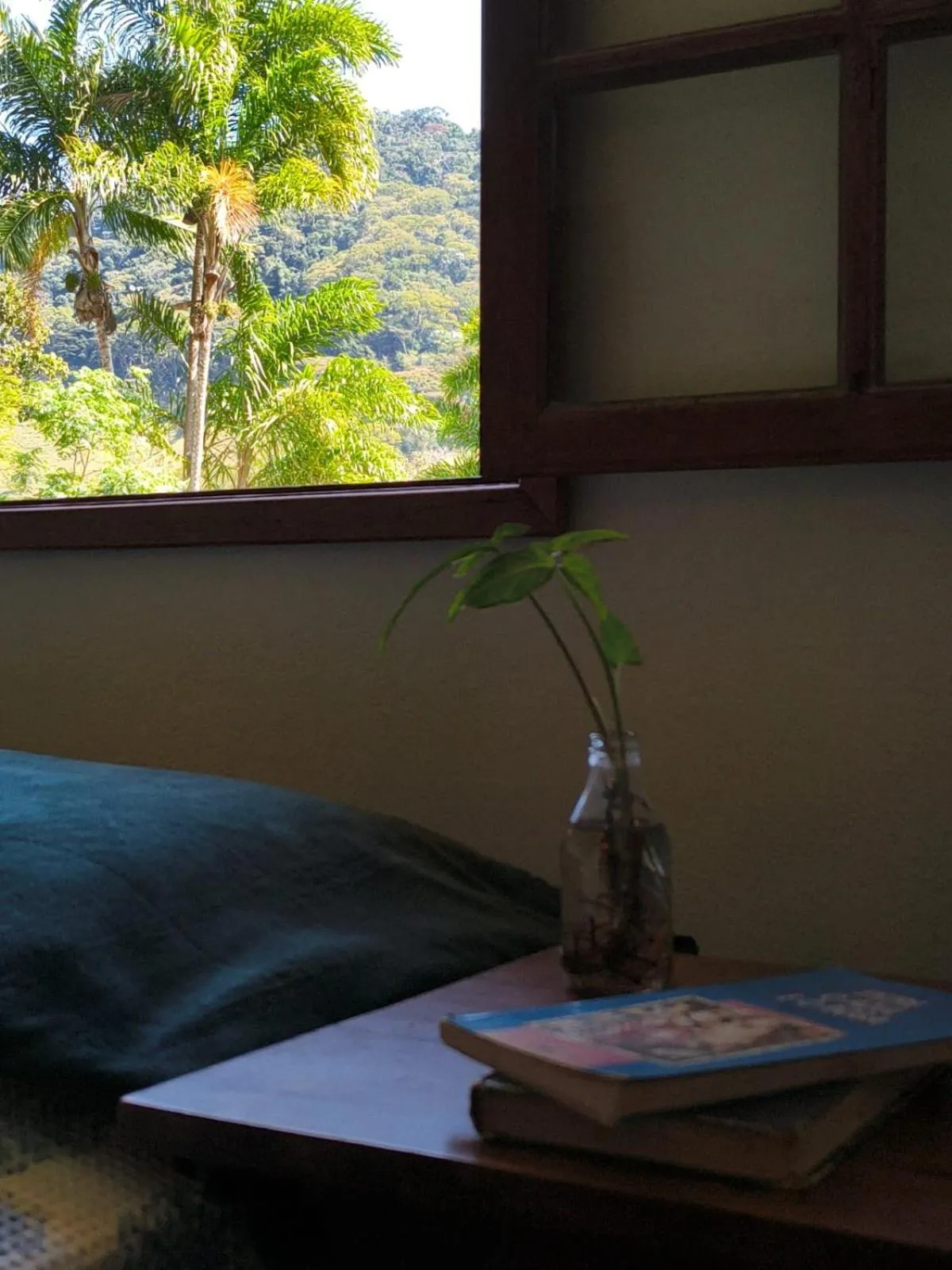 Casa Maia Sana Hostel