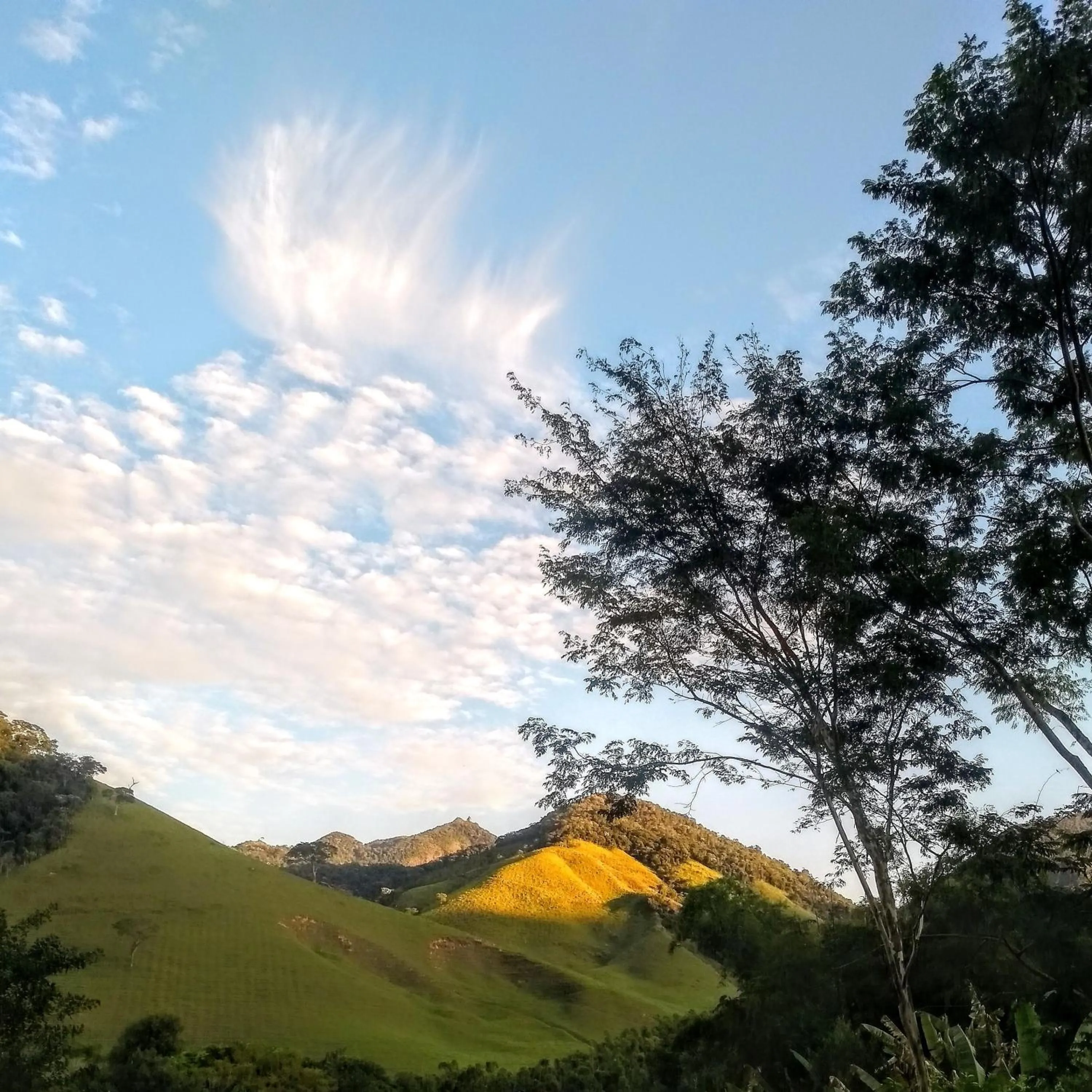 Natural landscape in Casa Maia Sana Hostel