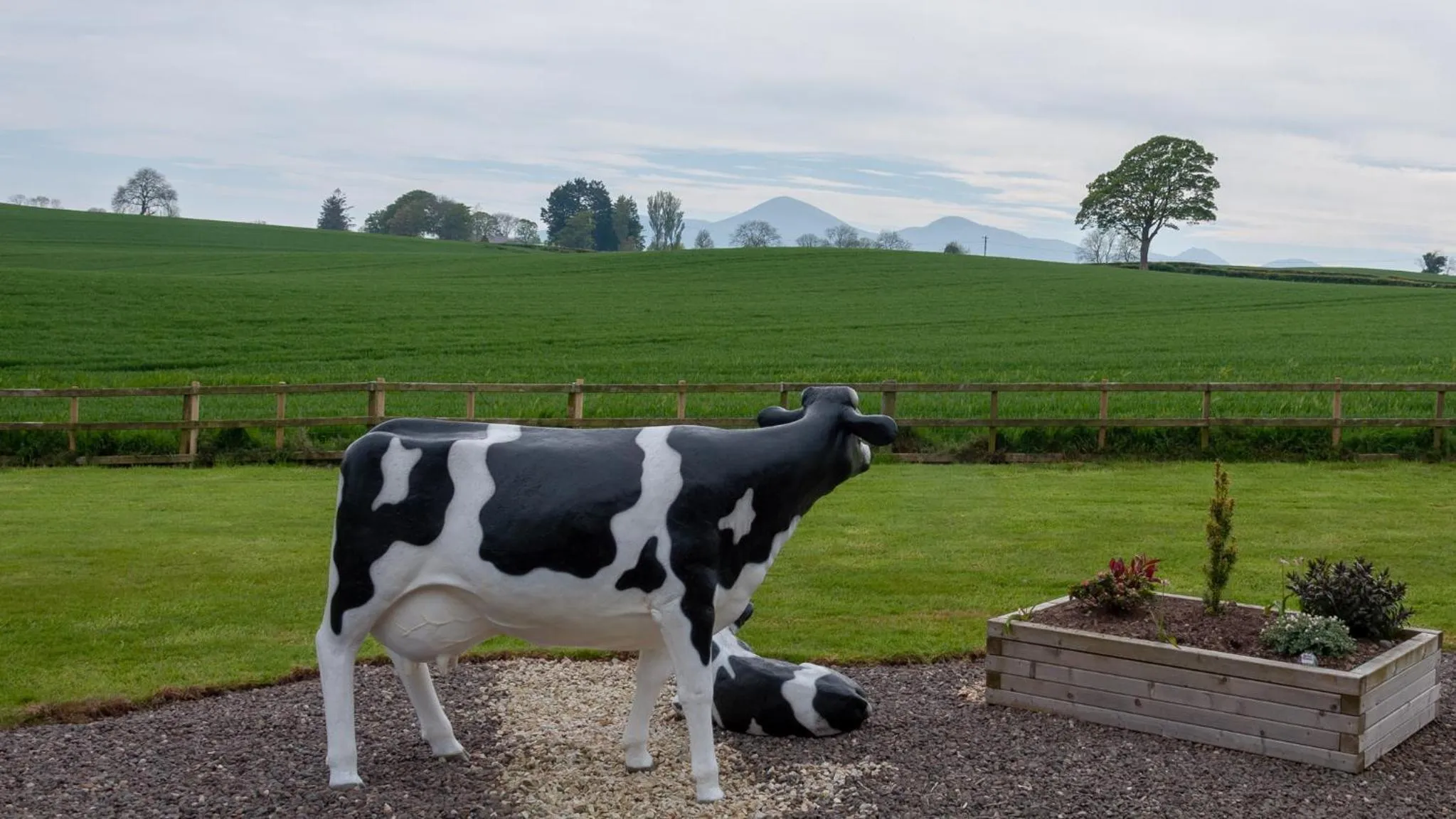 View (from property/room) in Creeghduff Lodge