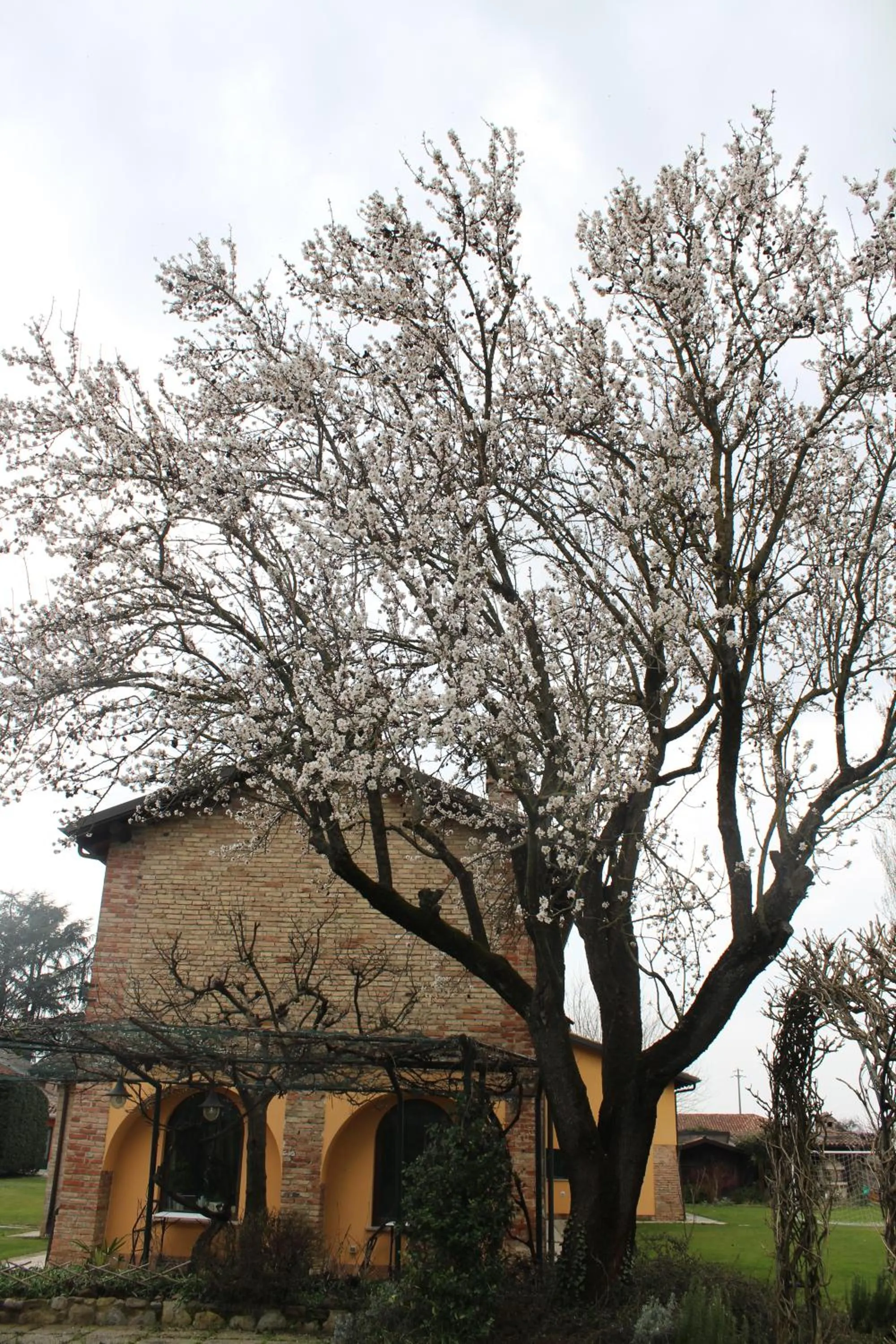 La Trunera Guest House