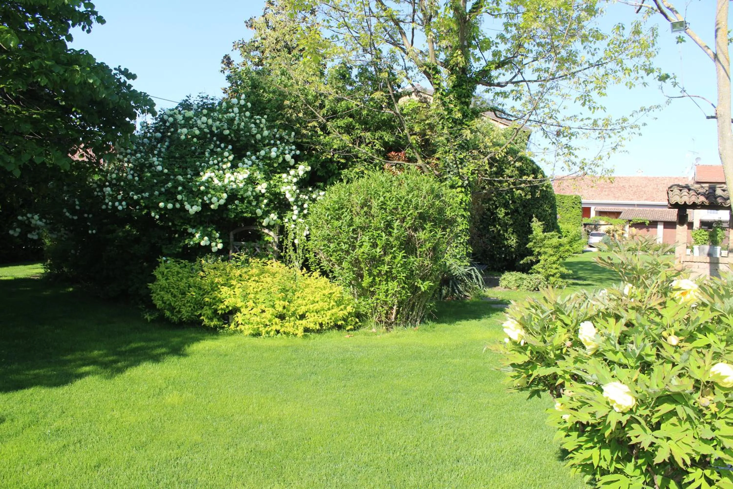 Garden in La Trunera Guest House
