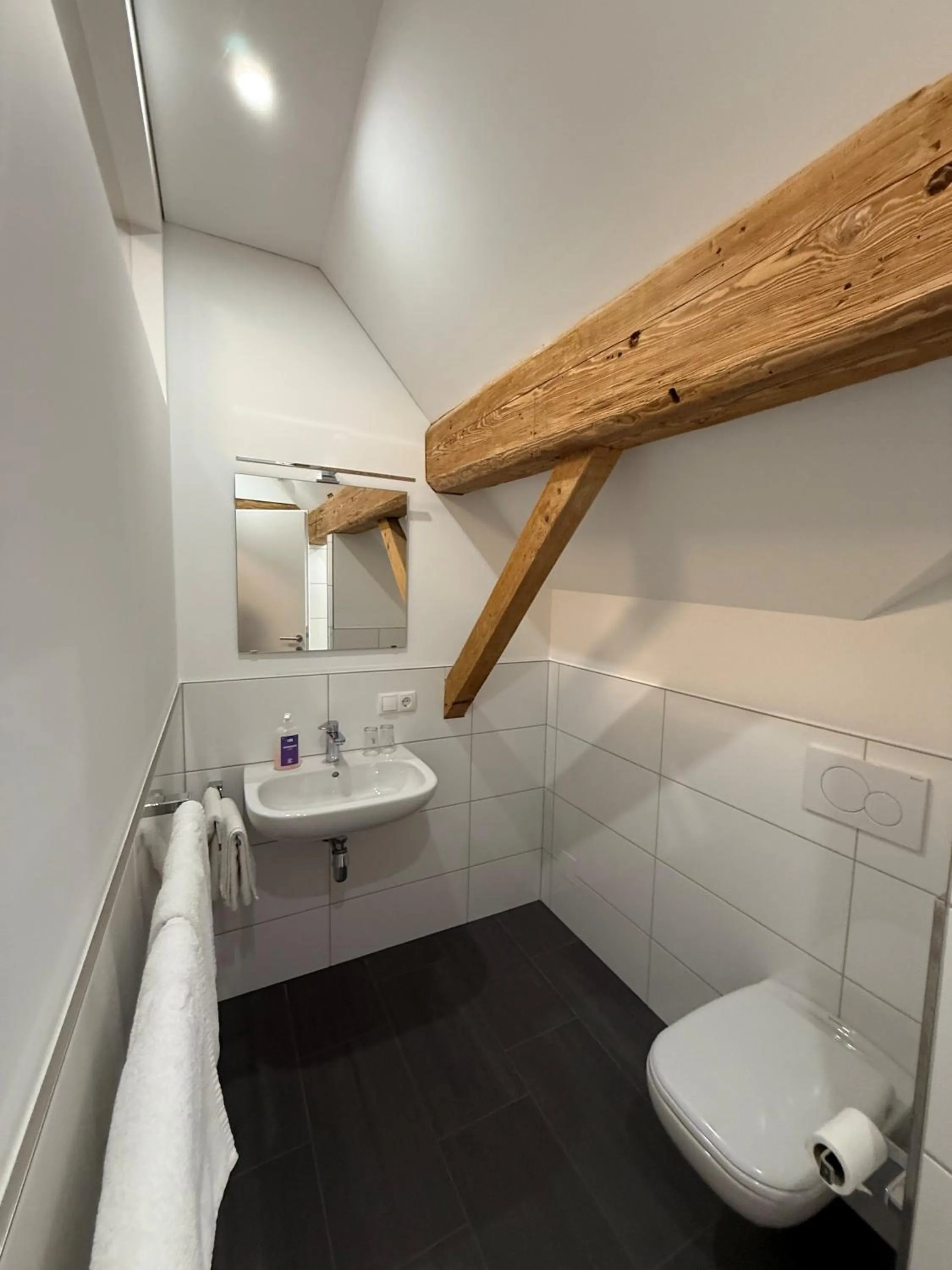 Toilet in Hotel Pension Löwen in Sulz