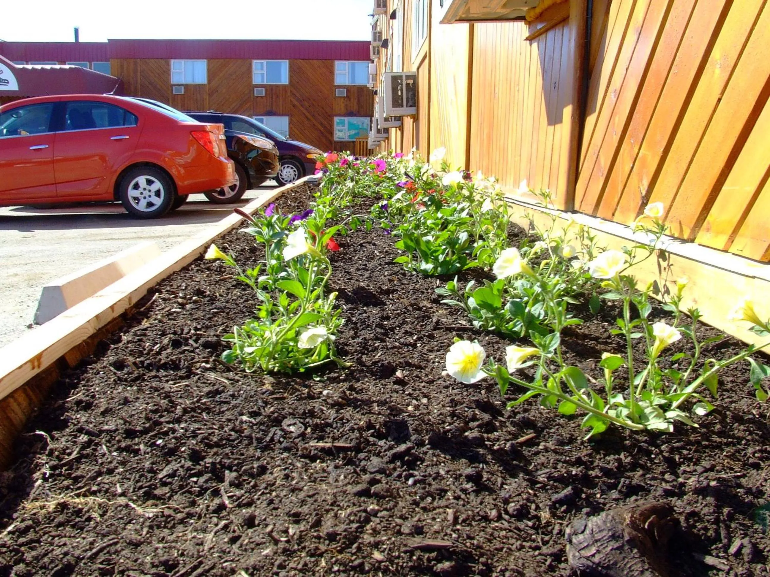 Garden in The Yukon Inn