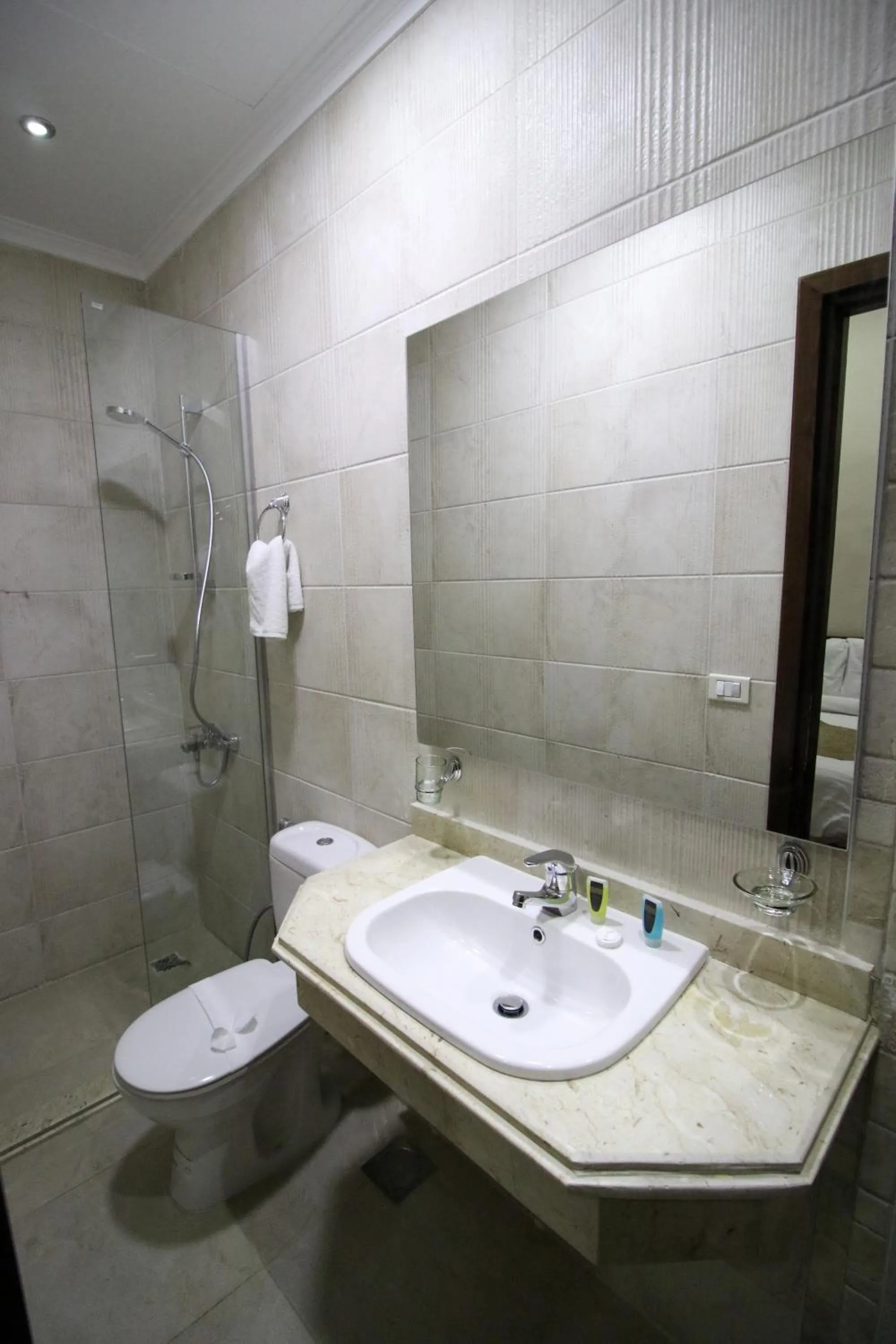 Bathroom in Miramar Talaat Harb Square