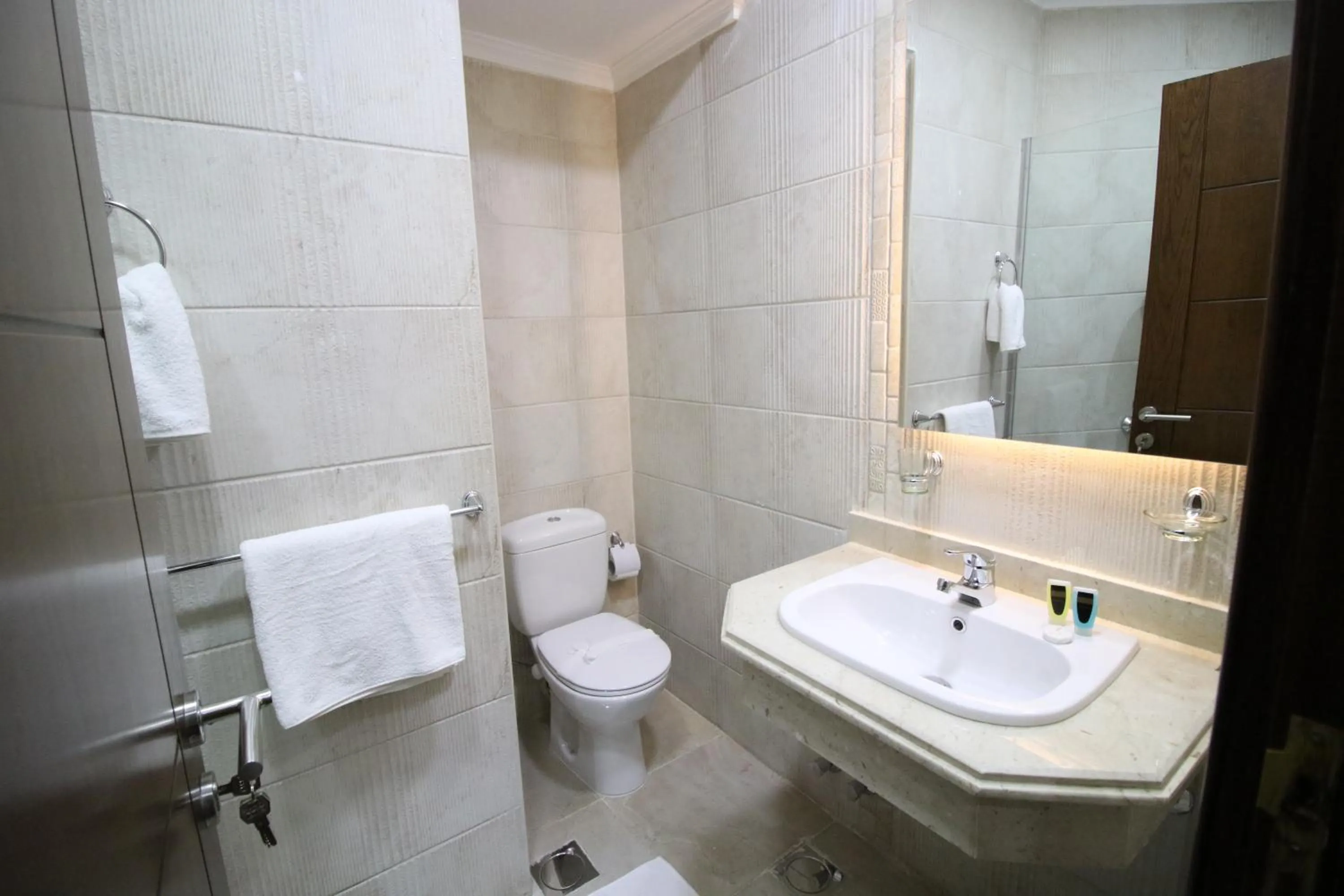 Miramar Talaat Harb Square