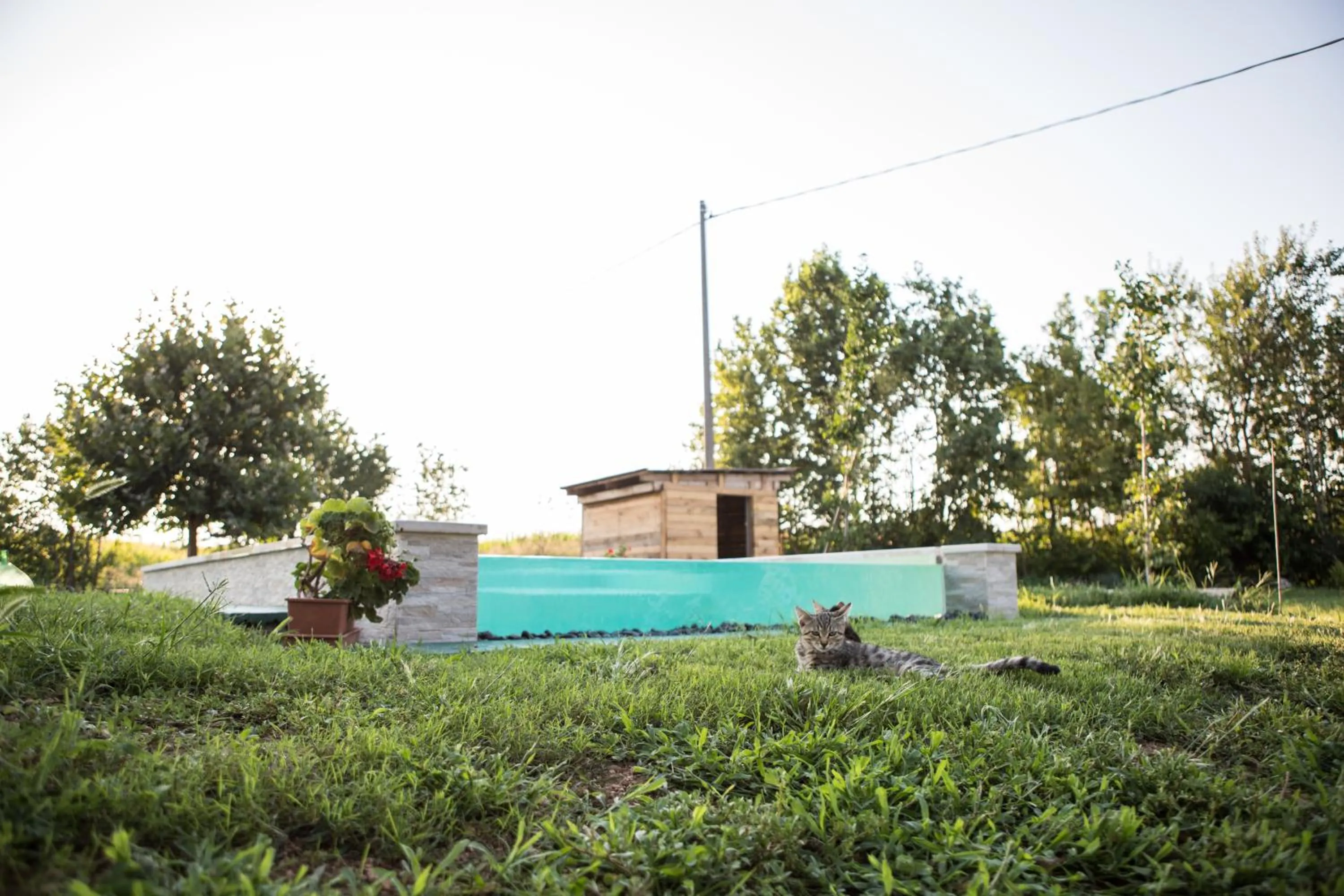 Swimming pool in B&B Casa Campagnari