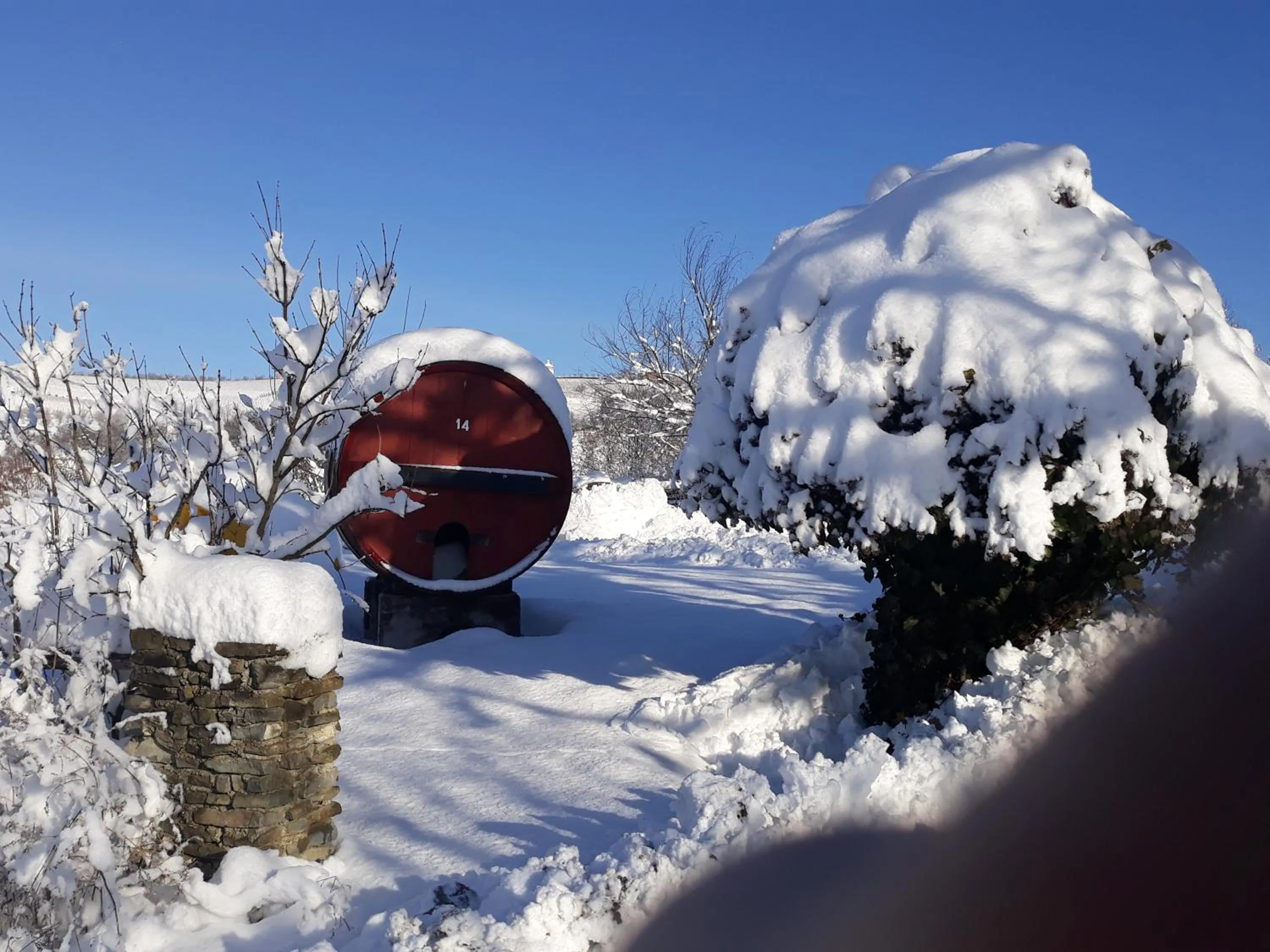 Winter in Agriturismo Cascina Binelli