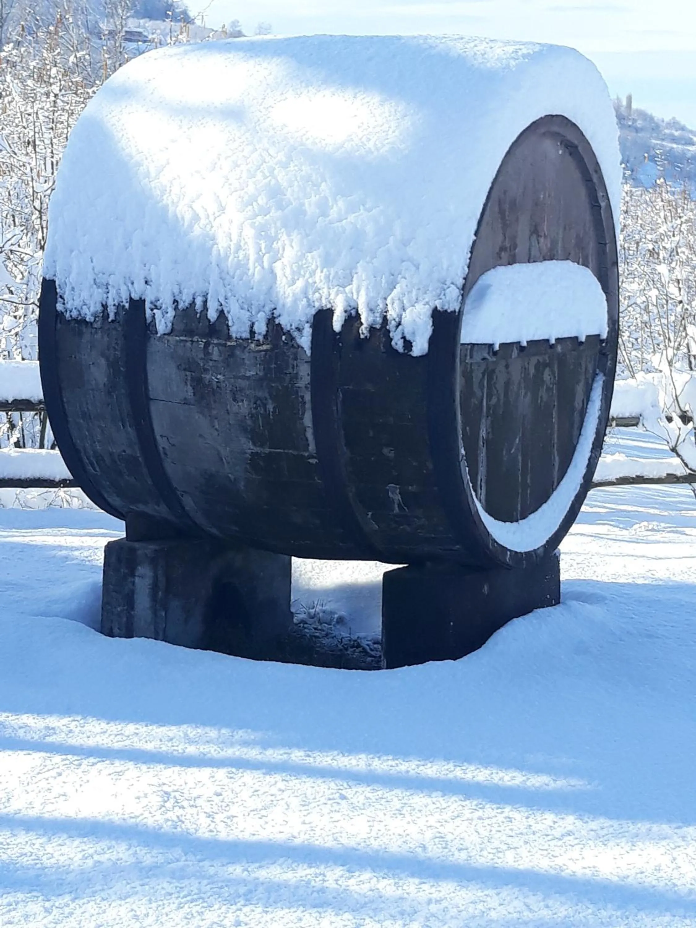 Winter in Agriturismo Cascina Binelli