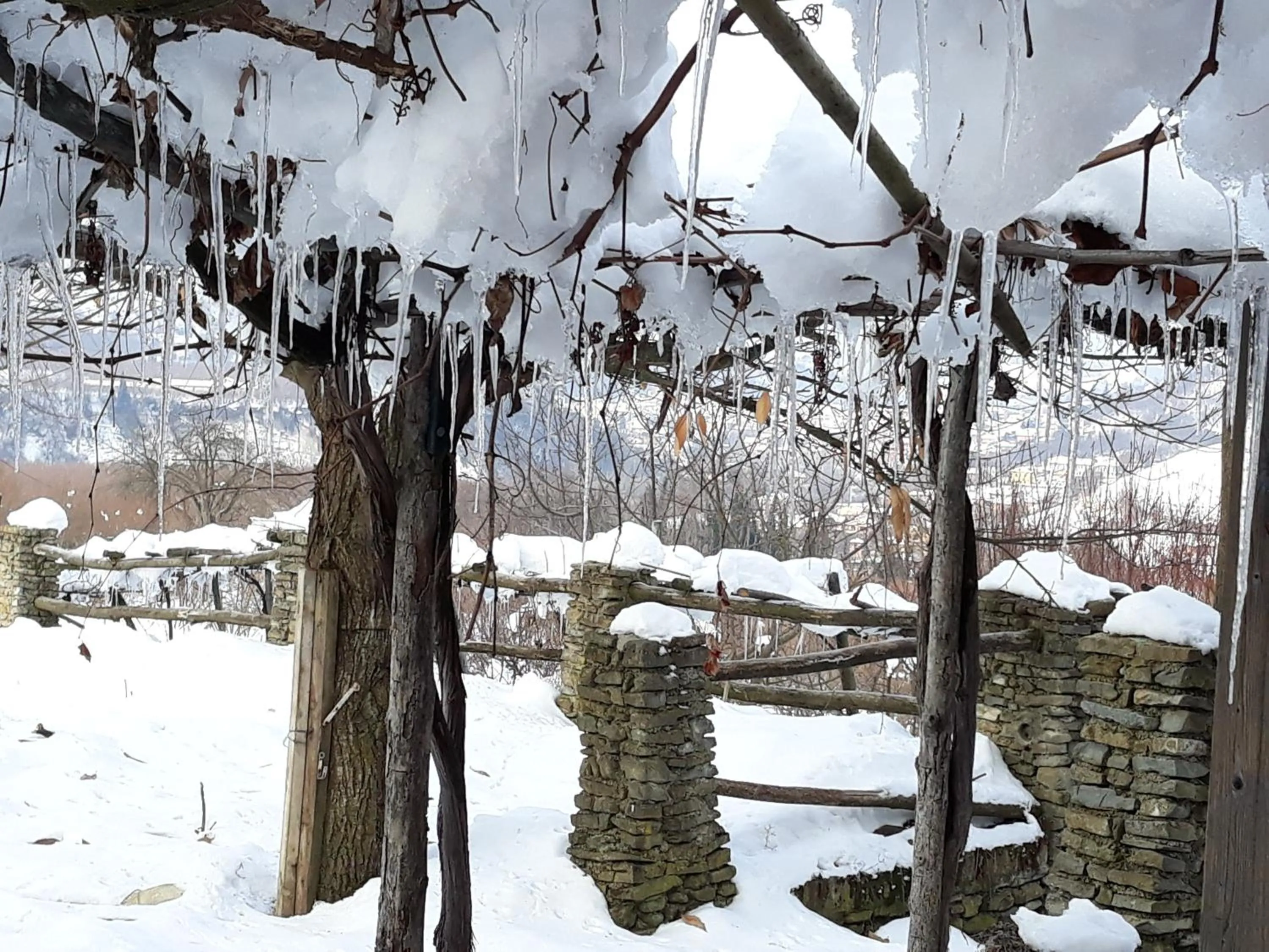 Natural landscape in Agriturismo Cascina Binelli