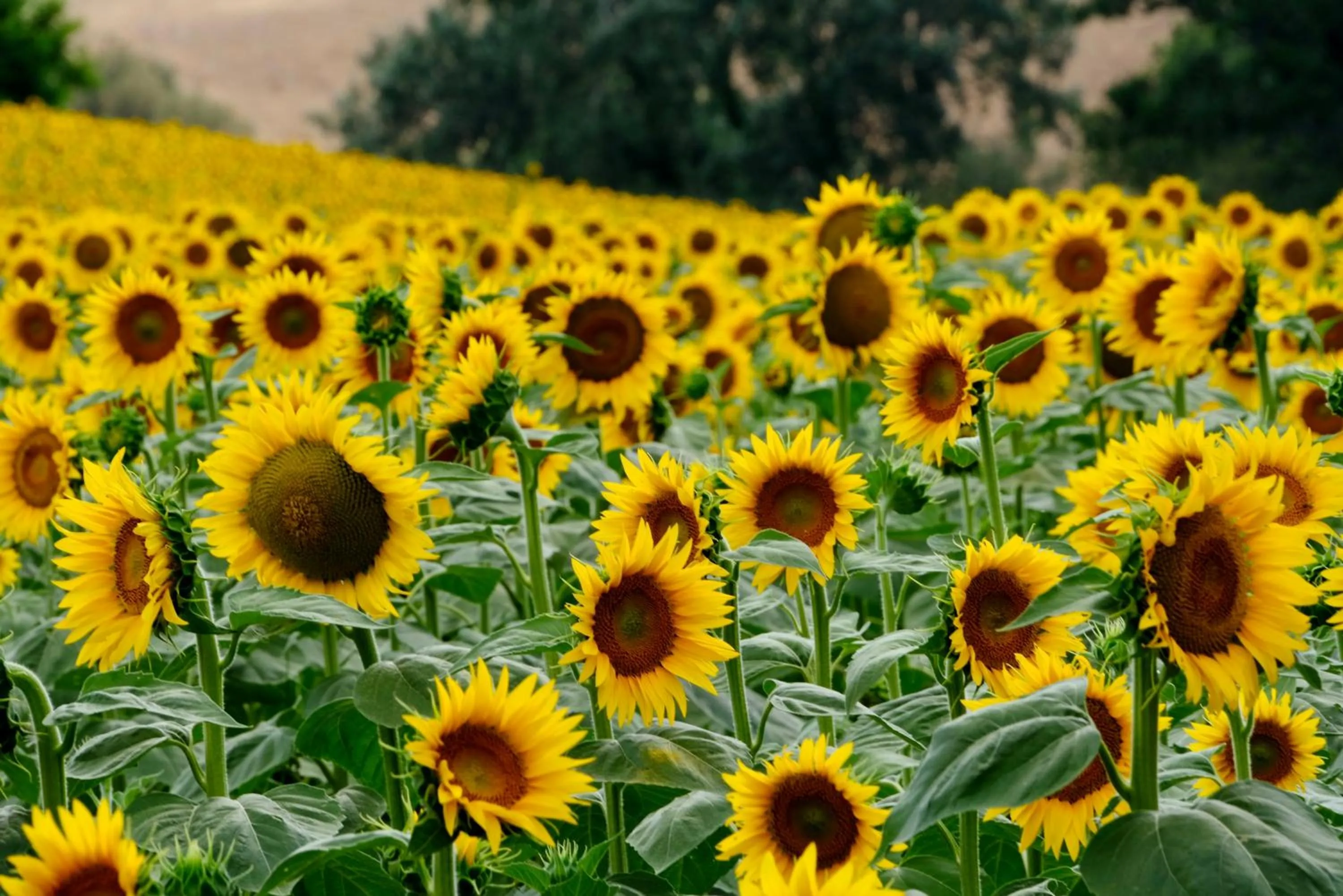View (from property/room) in Il Posto Perfetto
