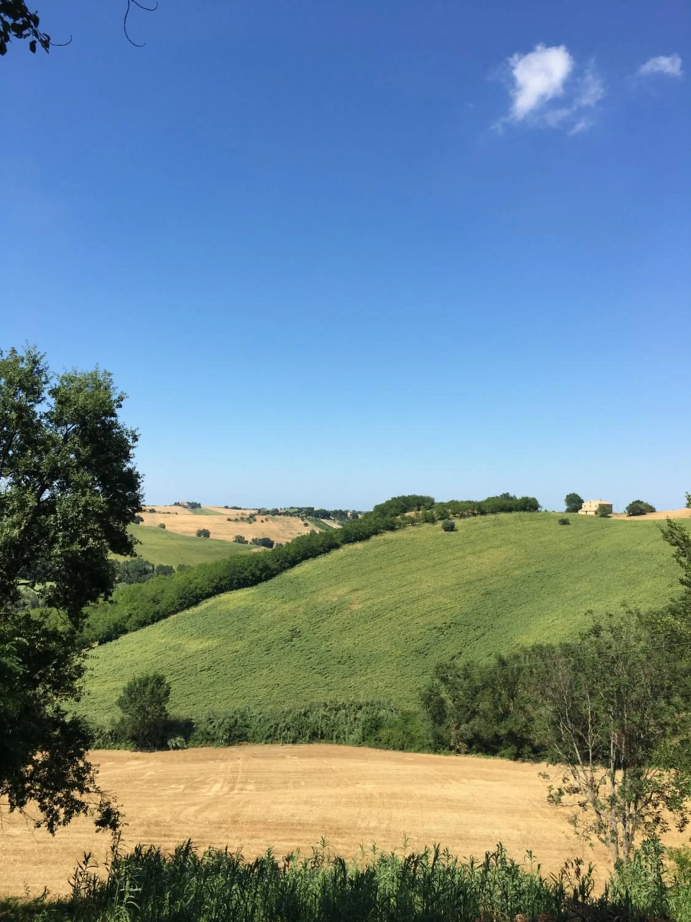 Natural landscape in Il Posto Perfetto