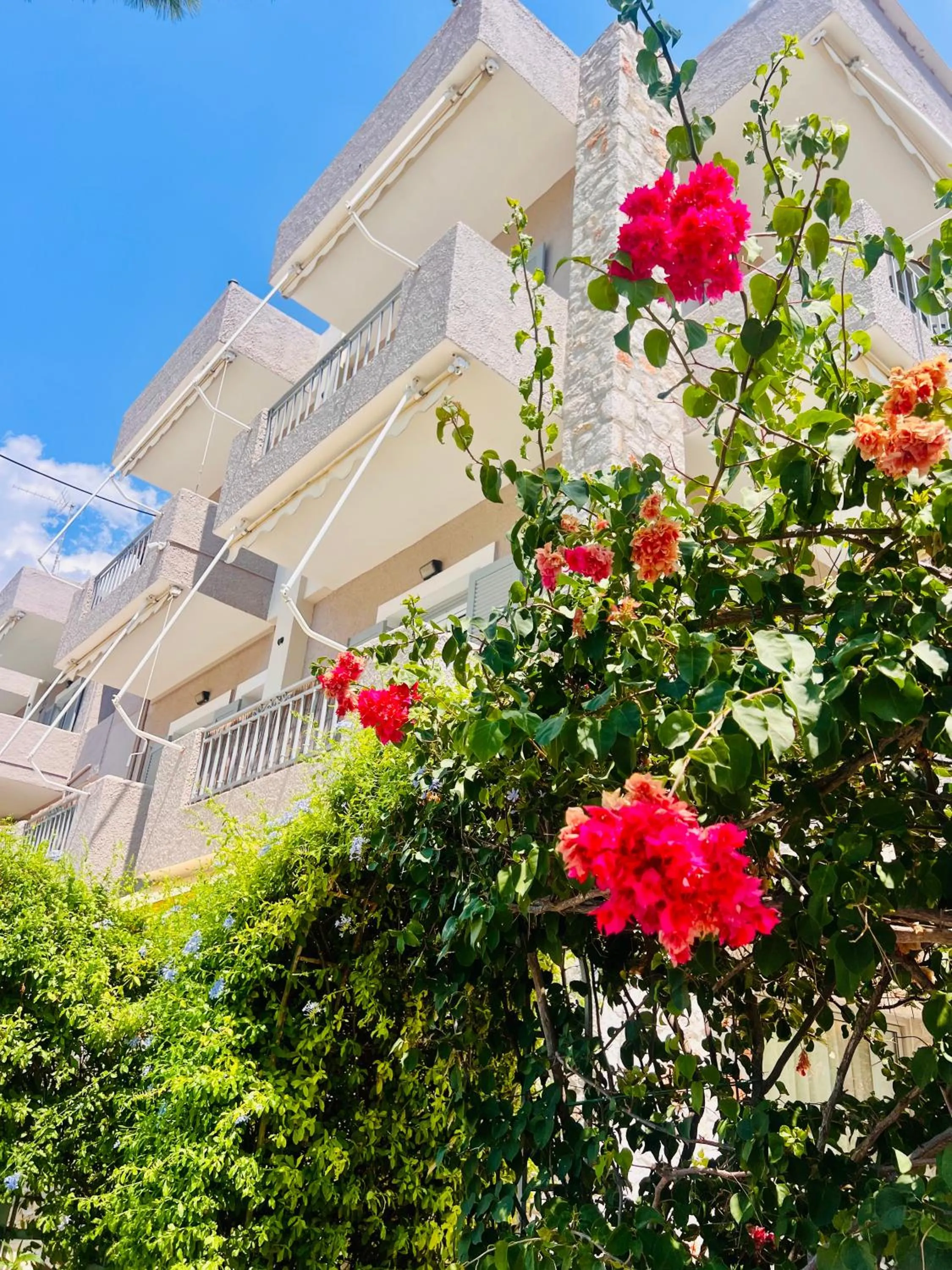 Aloe Luxury Apartments