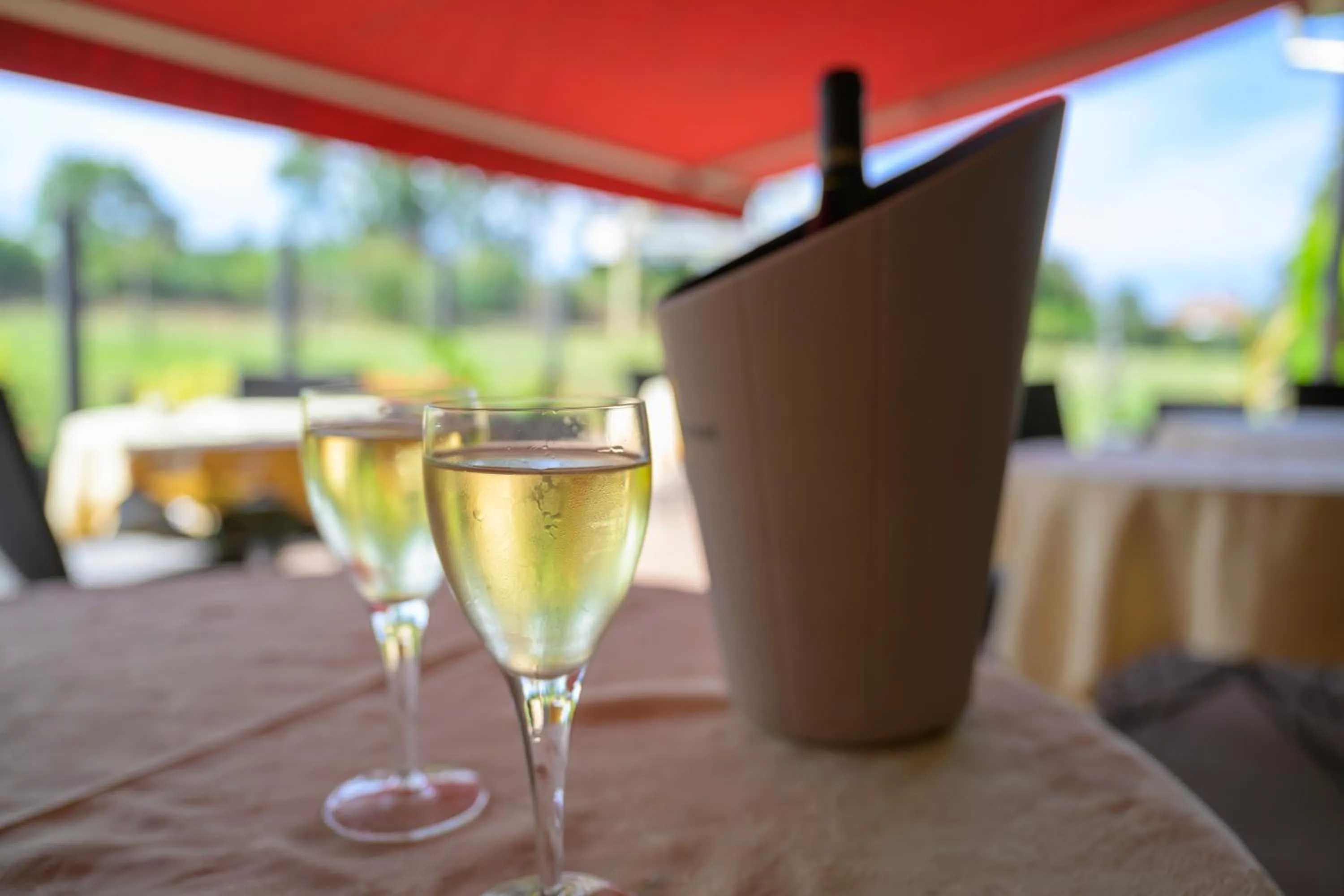 Drinks in Hôtel Restaurant Au Relais D'Alsace