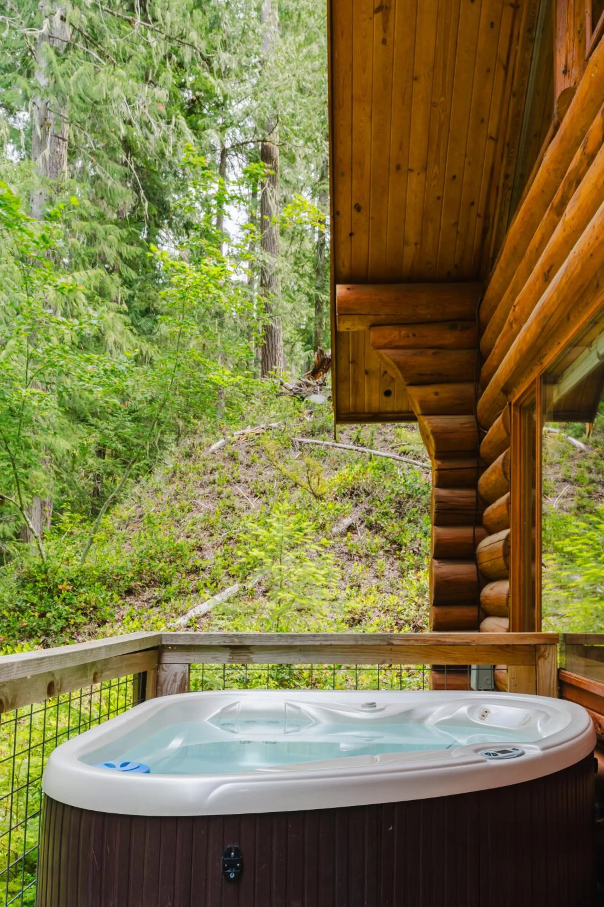 Hot Tub in LOGE Alta Crystal