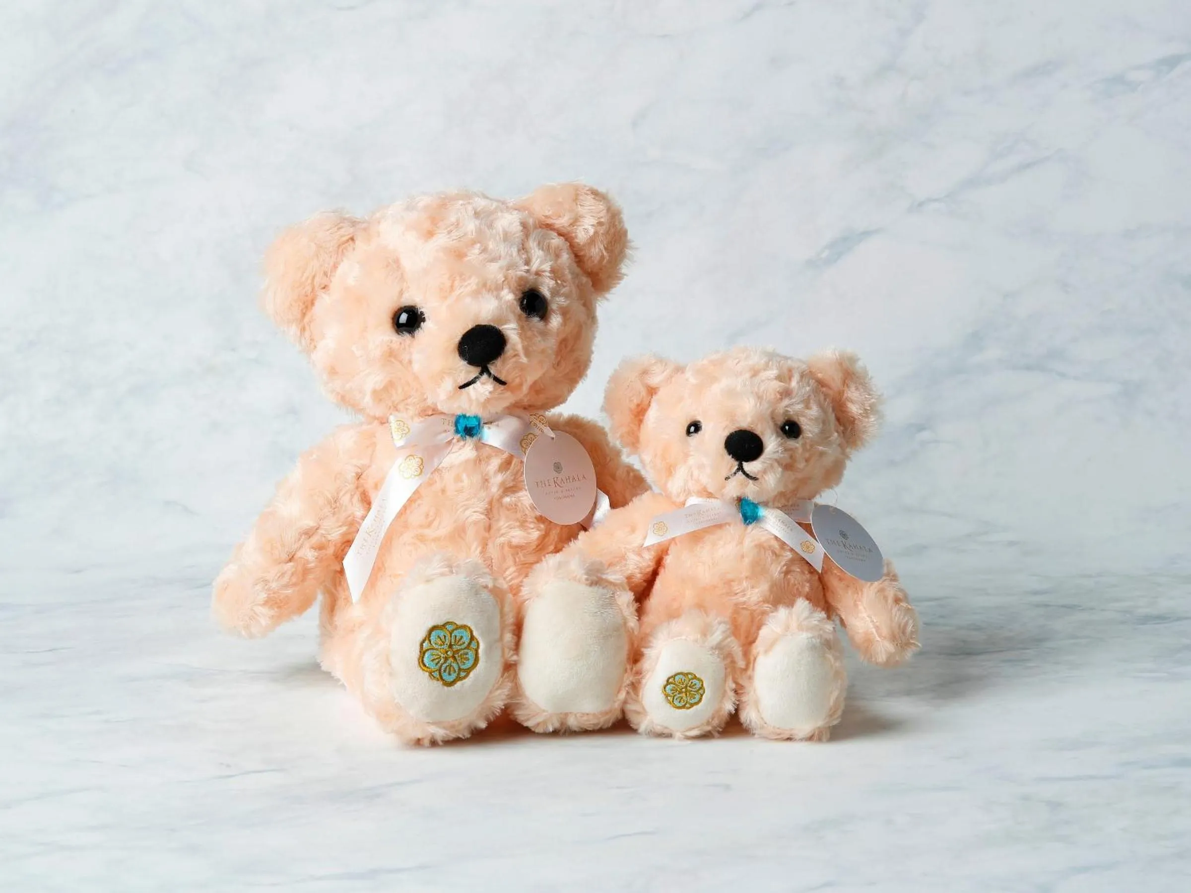 Shopping Area in The Kahala Hotel & Resort Yokohama