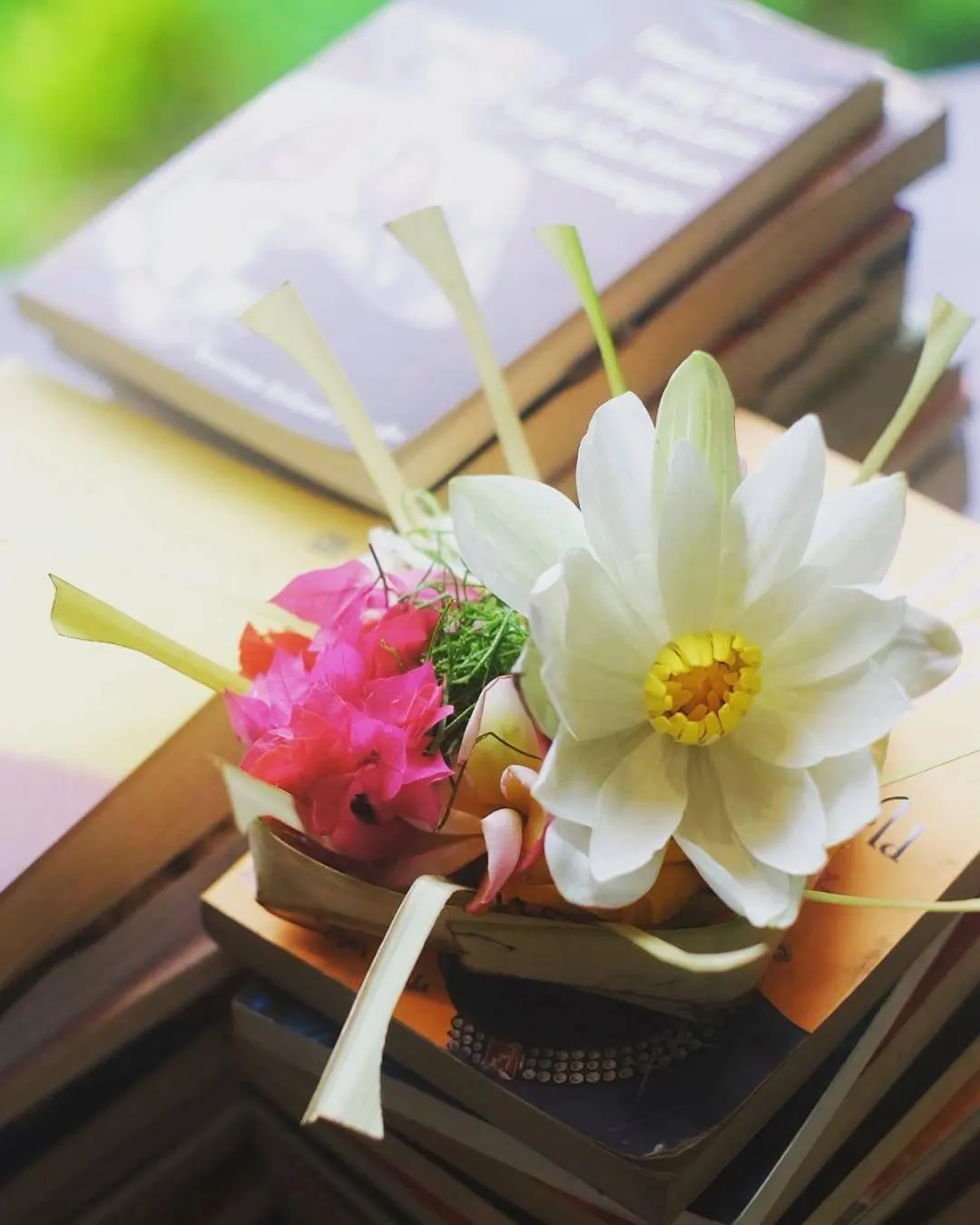 Property building in Royal JJ Ubud Resort & Spa