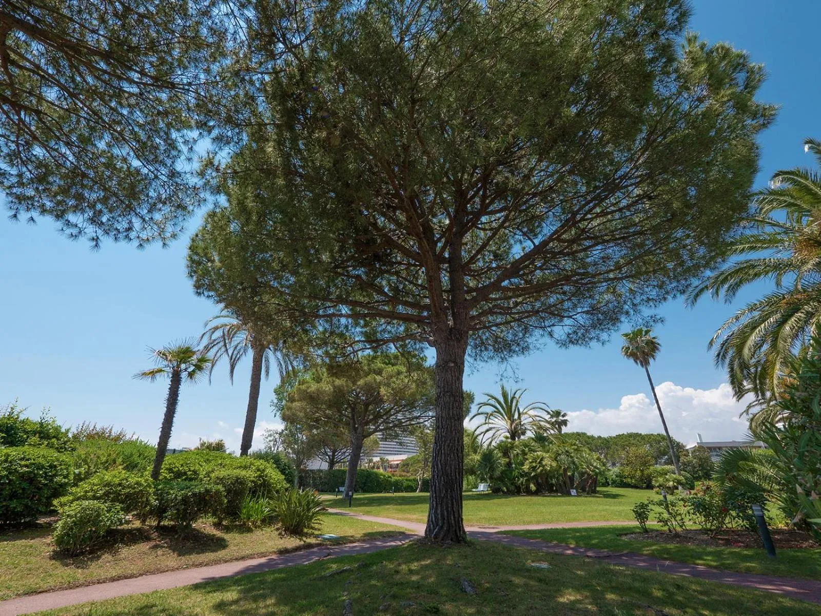 Garden in Hôtel Bahia