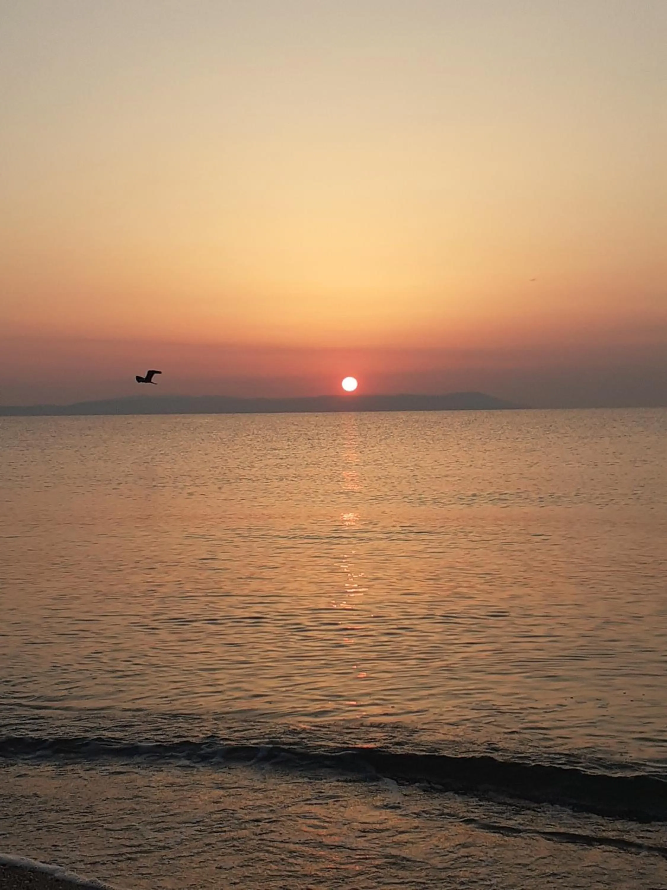 Summer in Amaranti Luxury Apartments