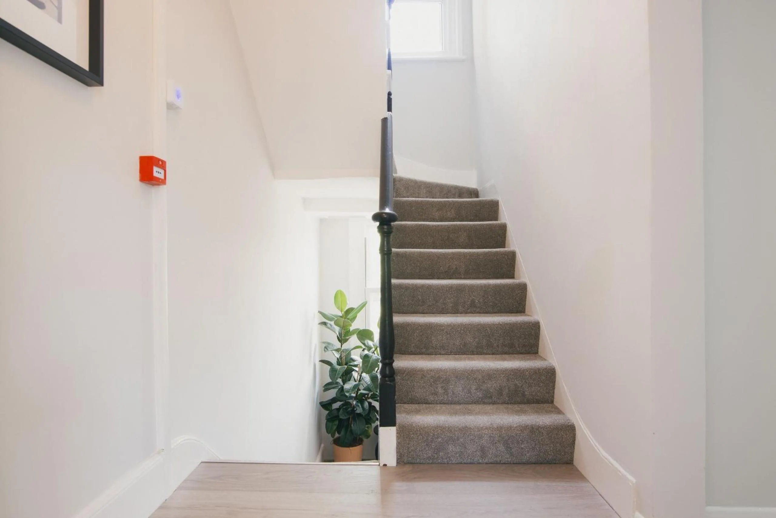 Facade/entrance in D8 - Shoreditch