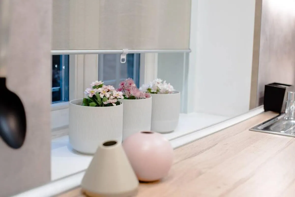 Full comfort, 4 bedrooms in the heart of the city