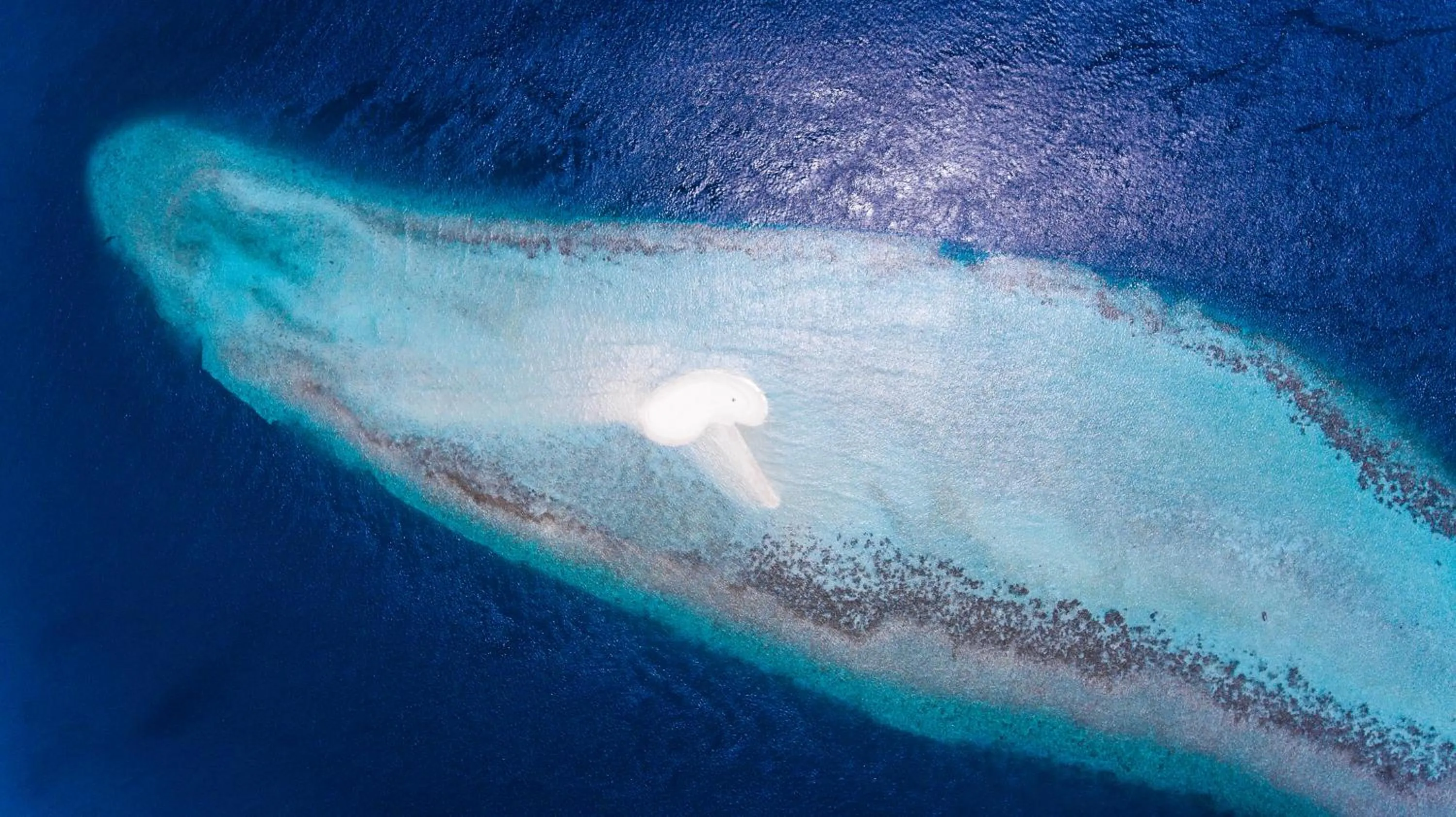 Beach in Dhangethi INN