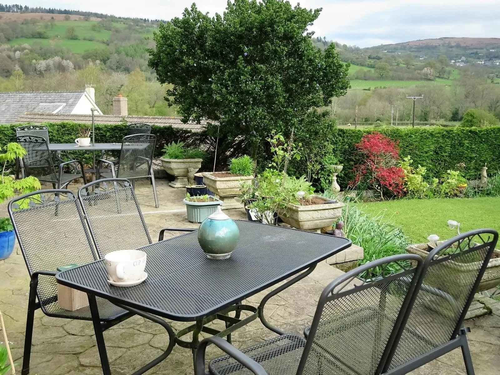Garden in Cae y Rhedyn Annexe
