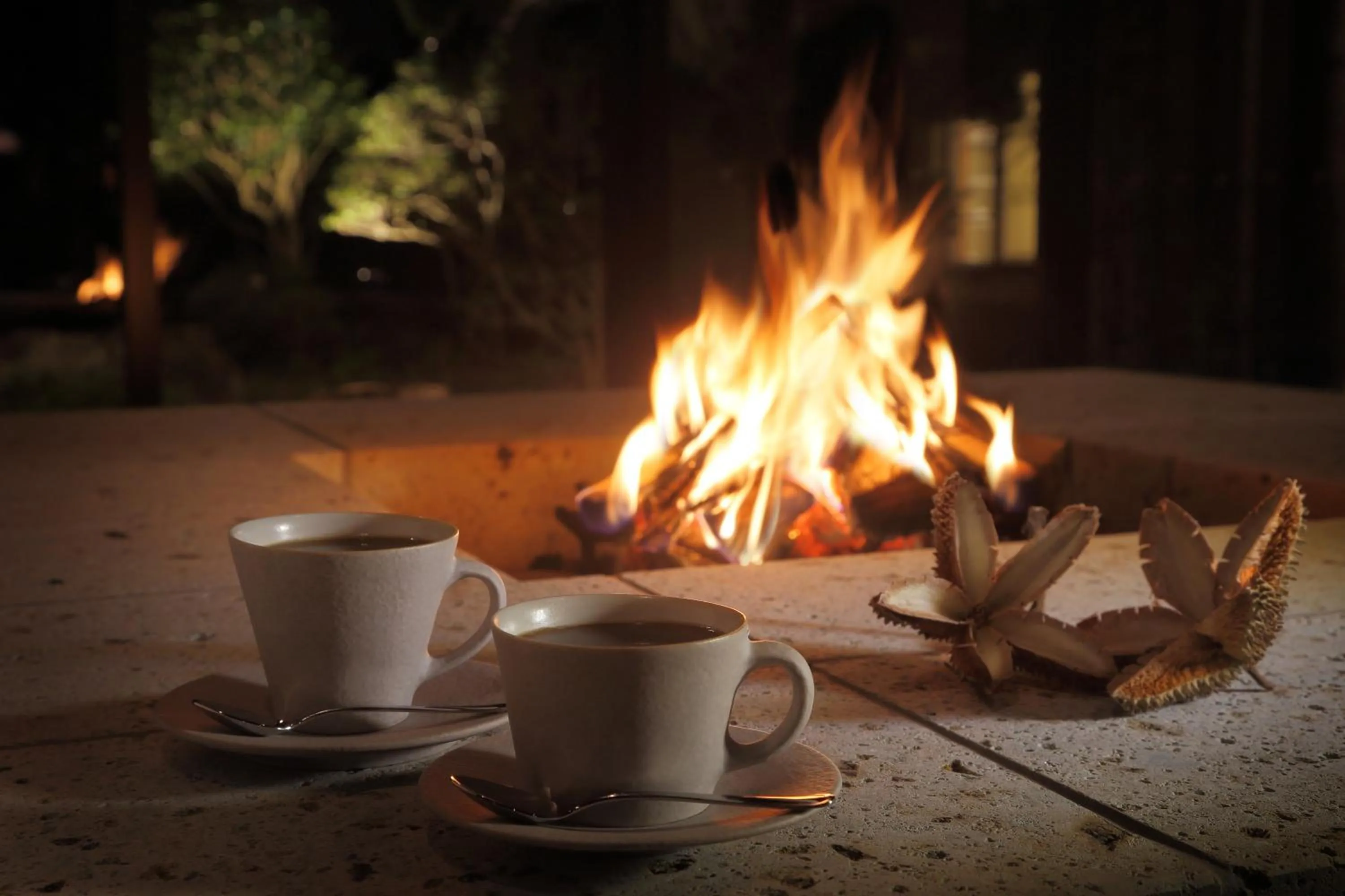 Coffee/tea facilities in Oyado Morinone