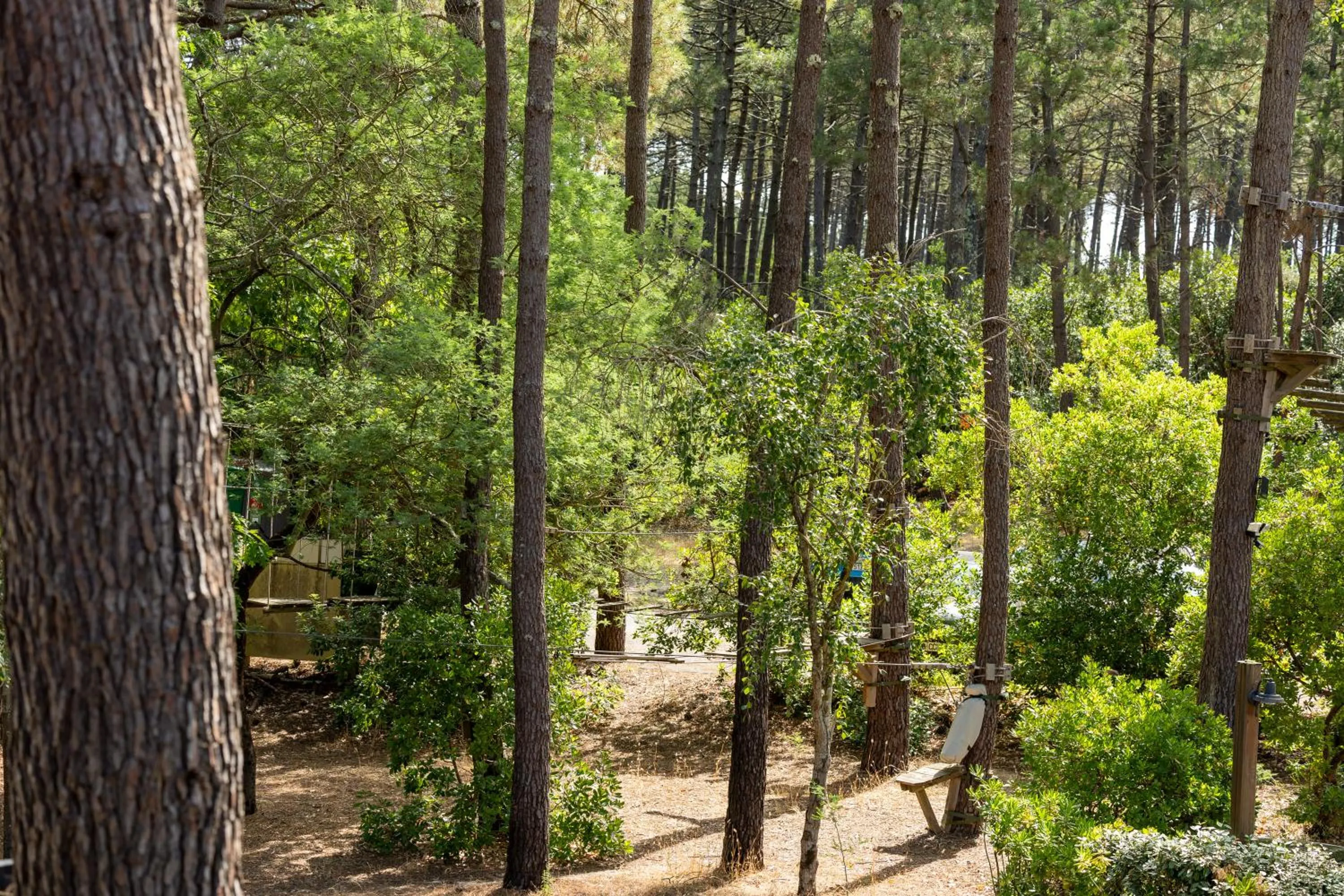 Hôtel & Spa Vitalparc, The Originals Collection