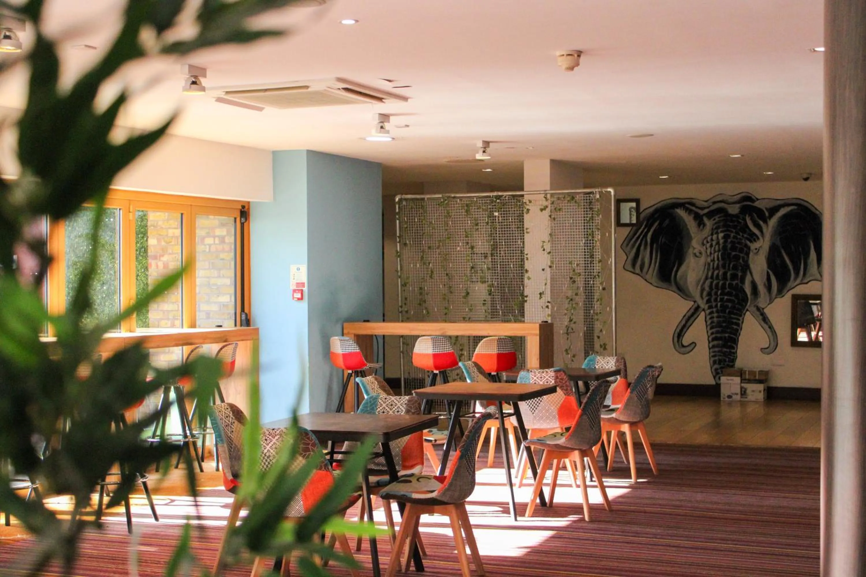 Restaurant/places to eat in Safestay London Elephant & Castle