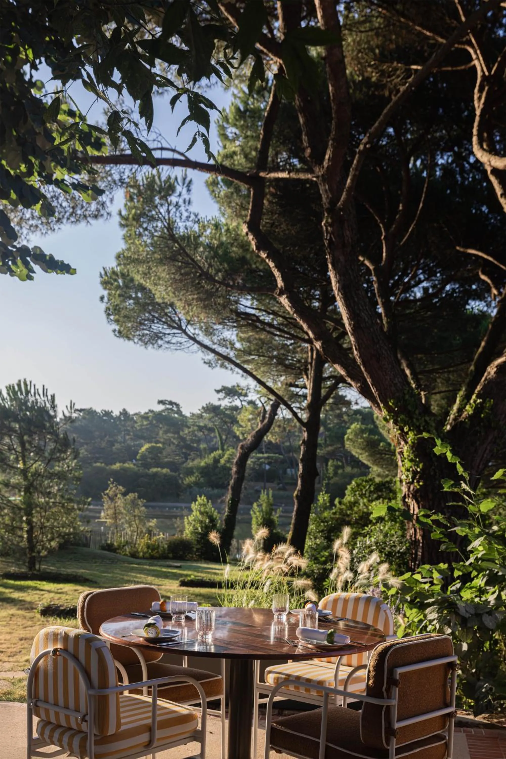 Restaurant/places to eat in Hôtel Maison Chiberta