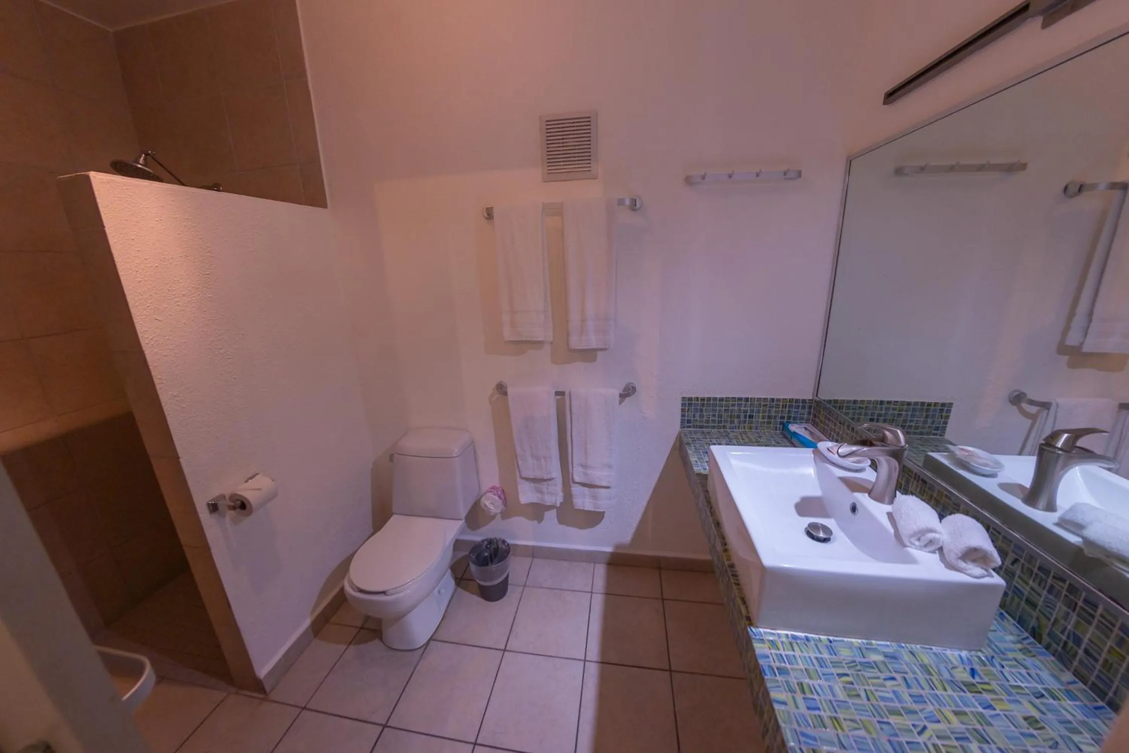 Bathroom in Casa Verde Hotel - Steps to the Beach, Pool, Restaurant & Bar