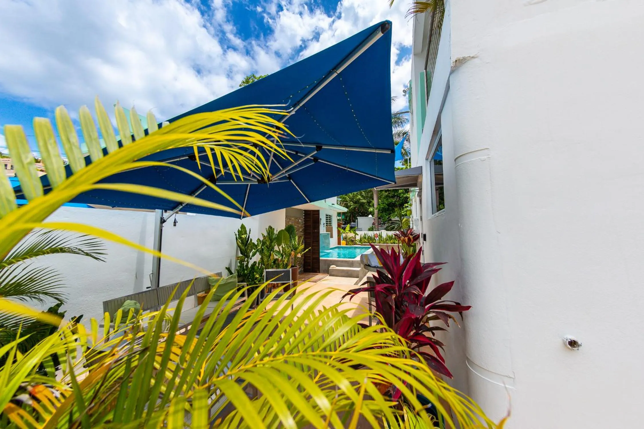 Pool view in Casa Verde Hotel - Steps to the Beach, Pool, Restaurant & Bar