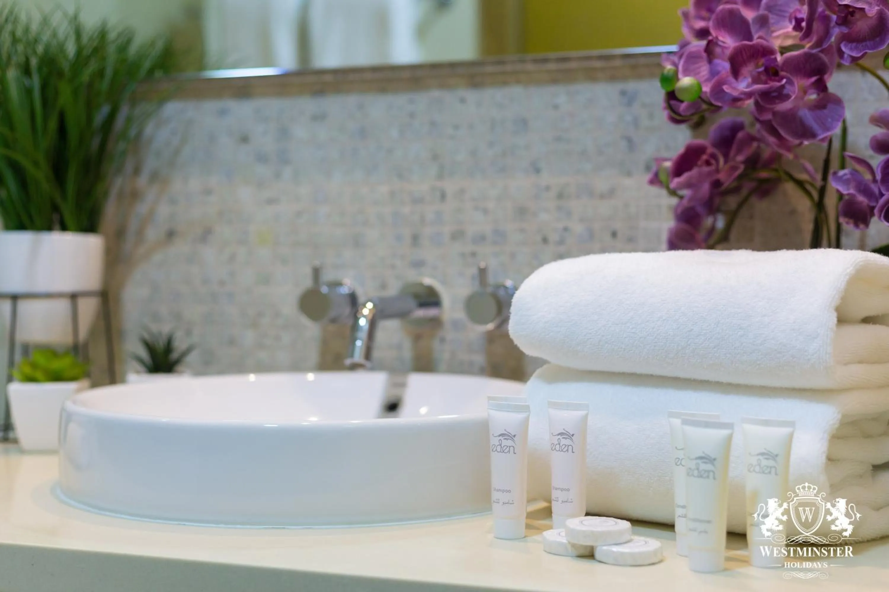 Westminster Claren Tower - Downtown