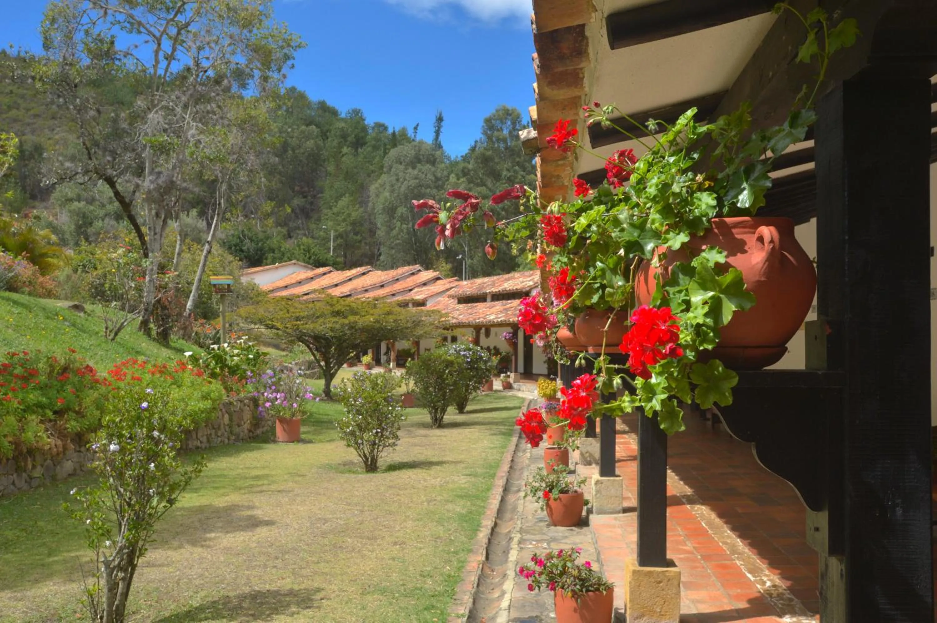 Garden in Hospederia Centro de Convenciones Duruelo