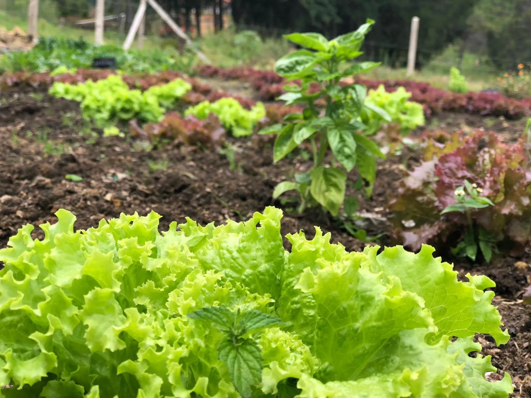 Natural landscape in Hospederia Centro de Convenciones Duruelo