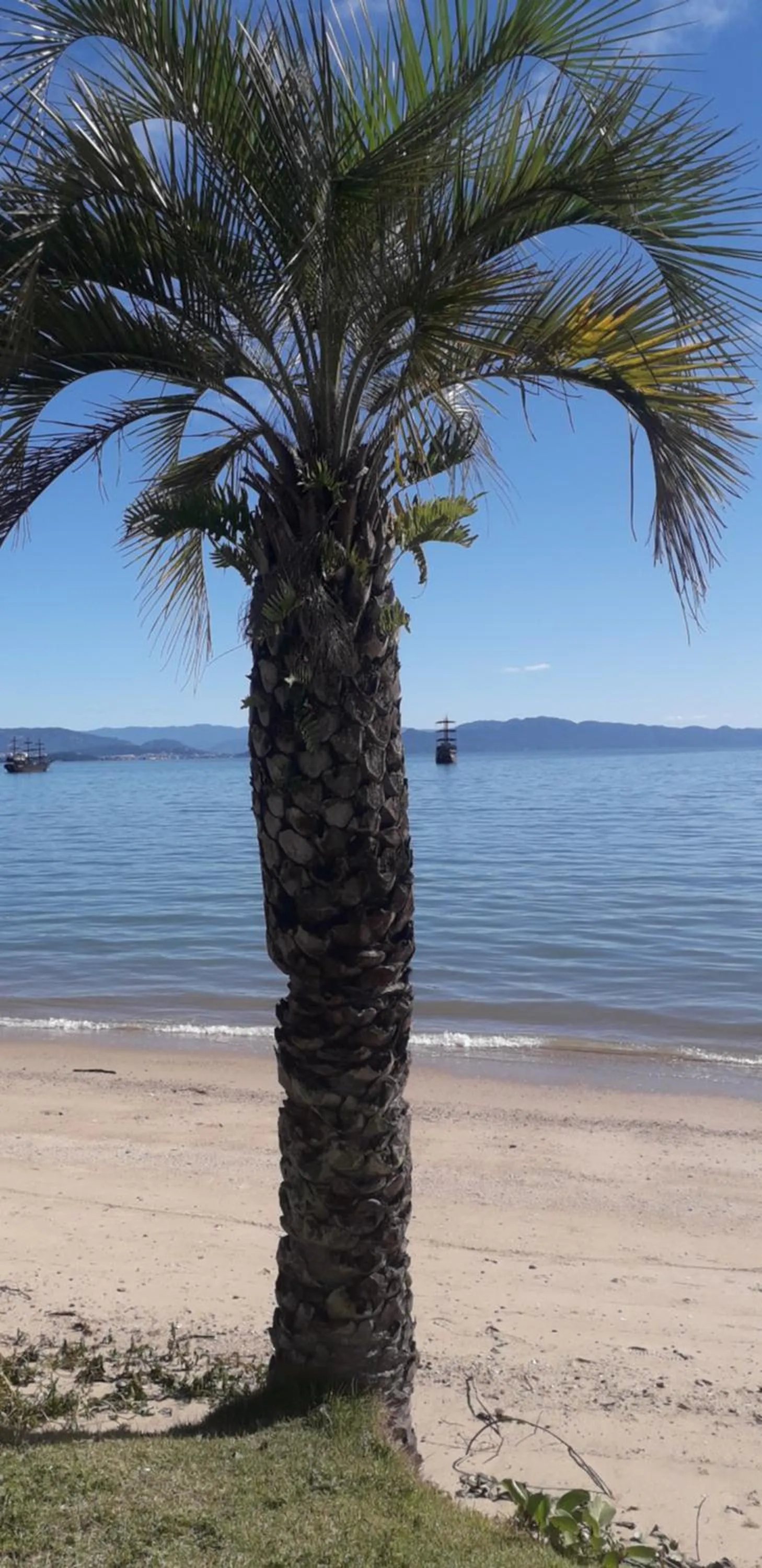 Property building in Suíte confortável