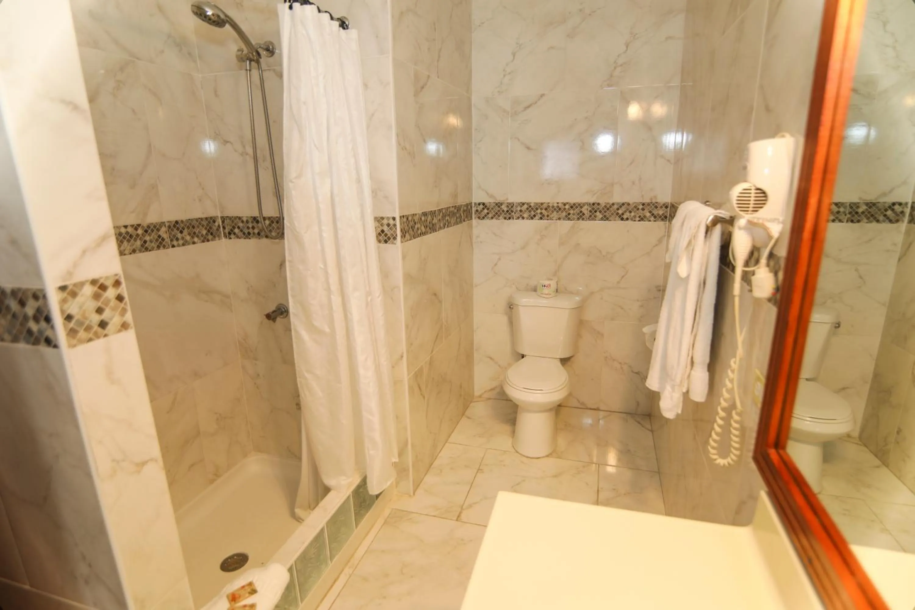 Toilet in Rayon Hotel