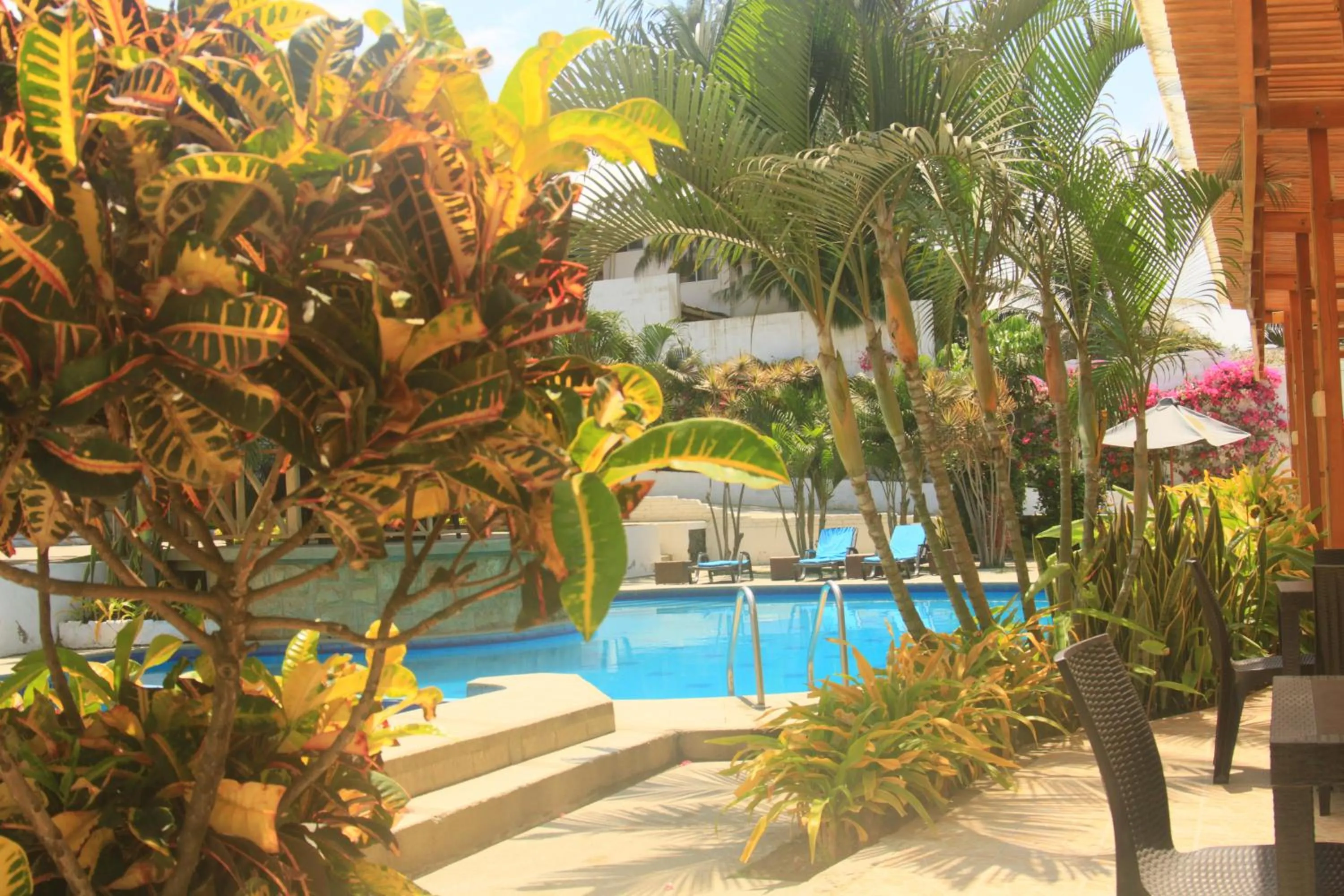 Garden in Villa Kite