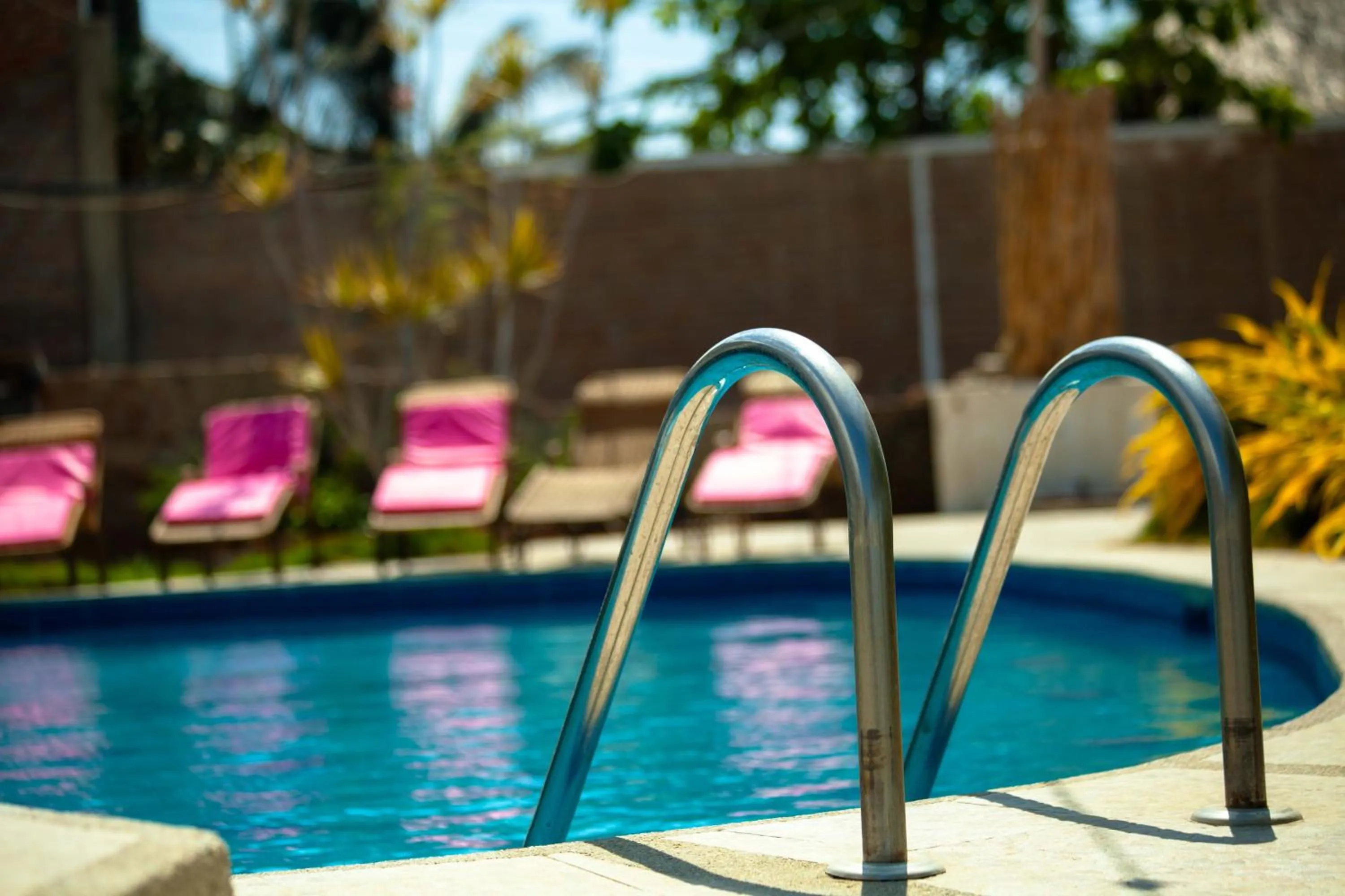 Garden in Villa Kite