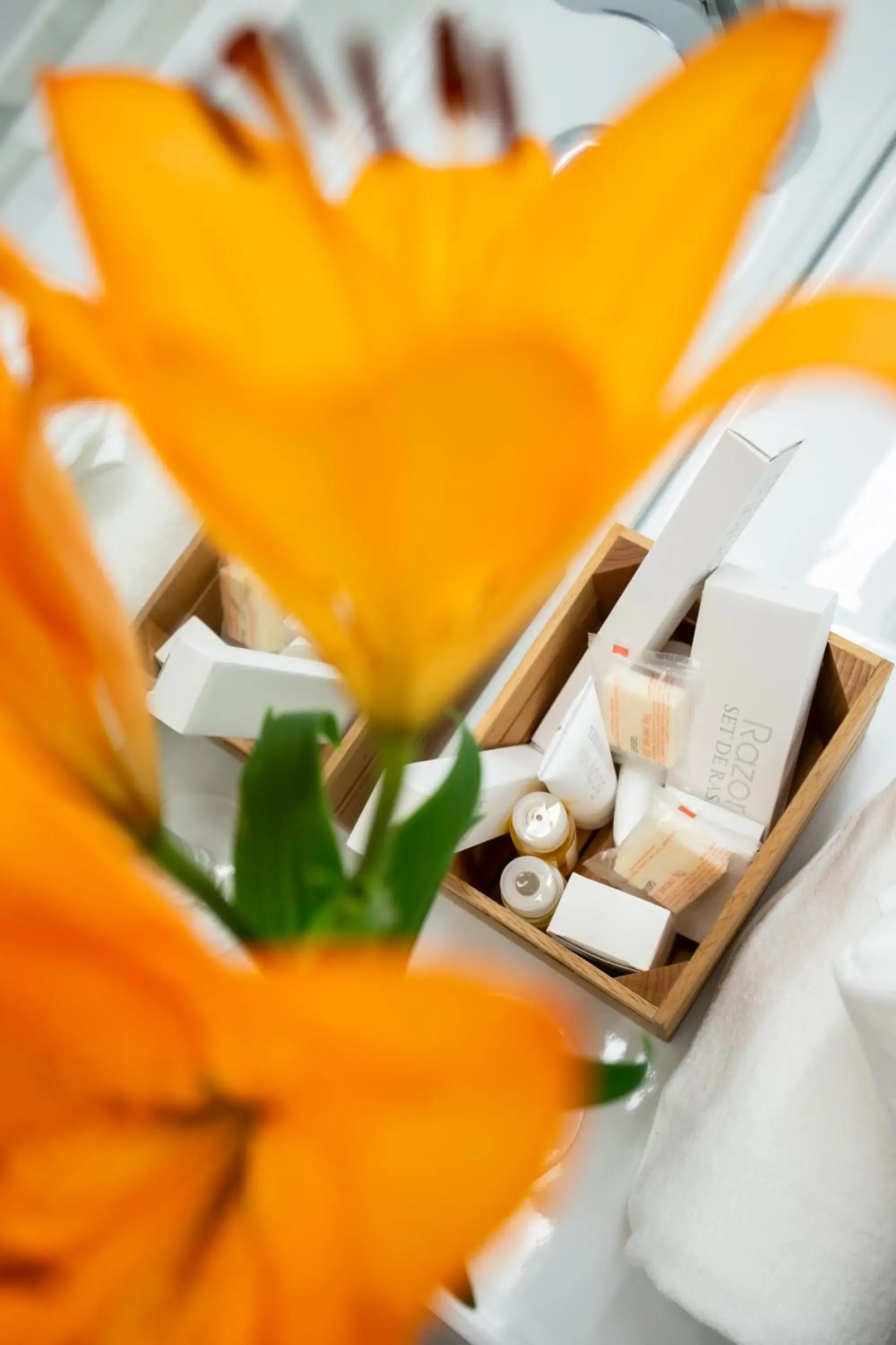 Decorative detail in Plazuela del Carbón Suites Decorative detail in Plazuela del Carbón Suites