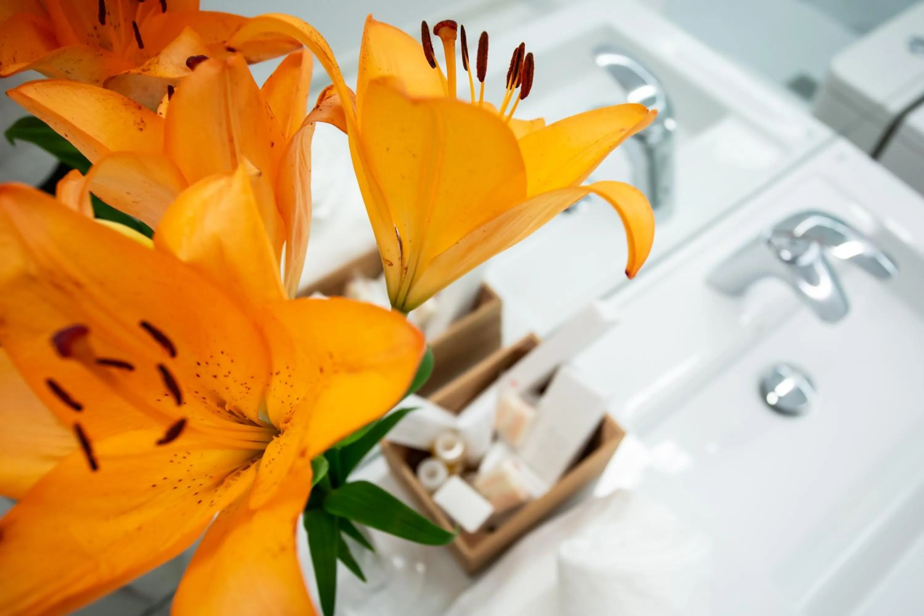 Decorative detail in Plazuela del Carbón Suites