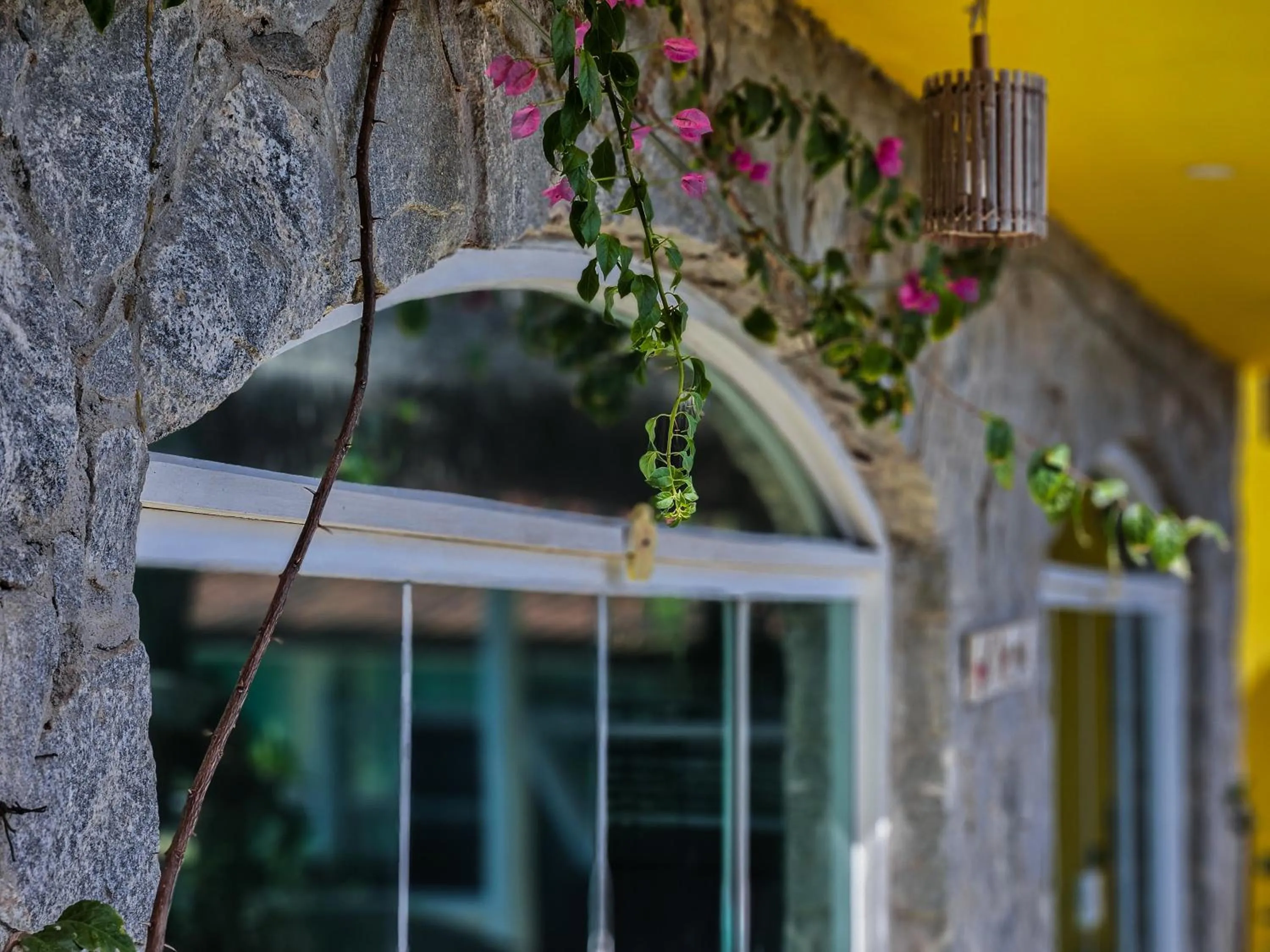 Bella Vista Ocean View