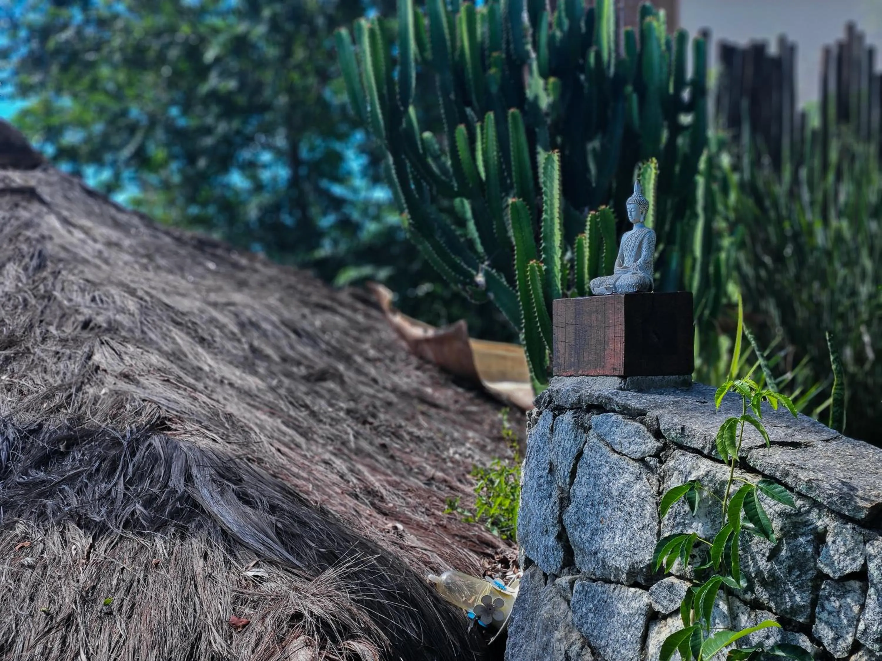 Bella Vista Ocean View