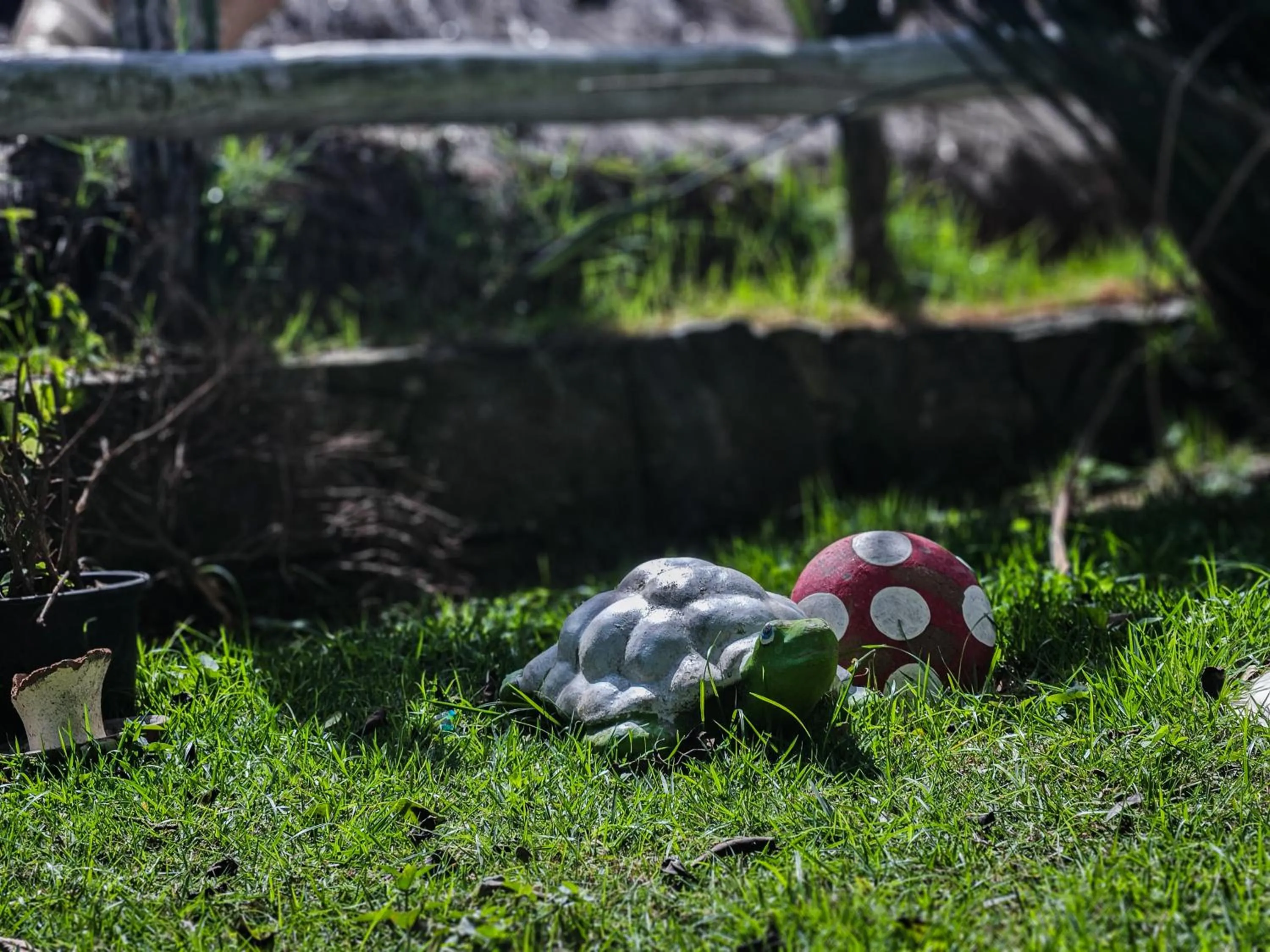 Bella Vista Ocean View