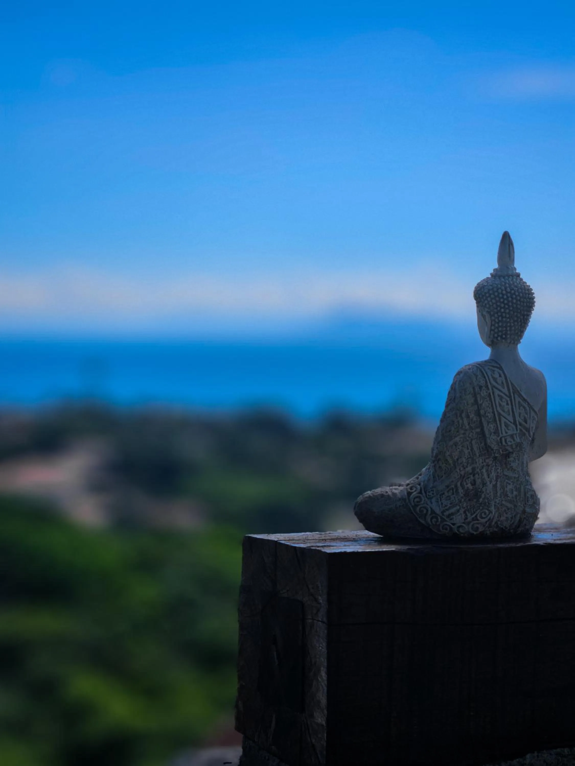 Bella Vista Ocean View