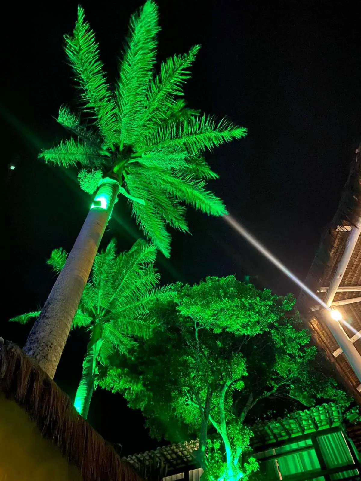 Bella Vista Ocean View